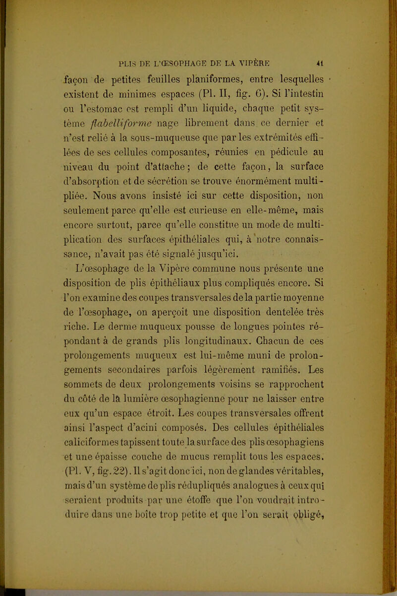 façon de petites feuilles planiformes, entre lesquelles existent de minimes espaces (Pl. II, fig. G). Si l'intestin ou l'estomac est rempli d'un liquide, chaque petit sys- tème flabelliforme nage librement dans ce dernier et n'est relié à la sous-muqueuse que par les extrémités effi- lées de ses cellules composantes, réunies en pédicule au niveau du point d'attache ; de cette façon, la surface d'absorption et de sécrétion se trouve énormément multi - pliée. Nous avons insisté ici sur cette disposition, non seulement parce qu'elle est curieuse en elle-même, mais encore surtout, parce qu'elle constitue un mode de multi- plication des surfaces épithéliales qui, à'notre connais- sance, n'avait pas été signalé jusqu'ici. L'œsophage de la Vipère commune nous présente une disposition de plis épithéliaux plus compliqués encore. Si l'on examine des coupes transversales delà partie moyenne de l'œsophage, on aperçoit une disposition dentelée très riche. Le derme muqueux pousse de longues pointes ré- pondant à de grands plis longitudinaux. Chacun de ces prolongements muqueux est lui-même muni de prolon- gements secondaires parfois légèrement ramifiés. Les sommets de deux prolongements voisins se rapprochent du côté de là lumière œsophagienne pour ne laisser entre eux qu'un espace étroit. Les coupes transversales offrent ainsi l'aspect d'acini composés. Des cellules épithéliales caliciformes tapissent toute la surface des plis œsophagiens et une épaisse couche de mucus remplit tous les espaces. (Pl. V, fig. 22). Il s'agit donc ici, non de glandes véritables, mais d'un système de plis rédupliqués analogues à ceux qui seraient produits par une étoffe que l'on voudrait intro- duire dans une boîte trop petite et que l'on serait obligé,