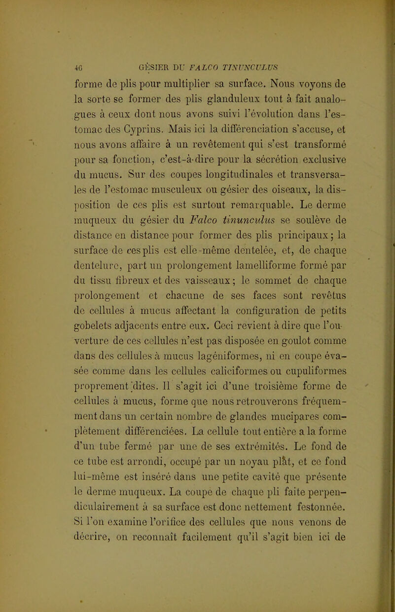 forme de plis pour multiplier sa surface. Nous voyons de la sorte se former des plis glanduleux tout à fait analo- gues à ceux dont nous avons suivi l'évolution dans l'es- tomac des Cyprins. Mais ici la différenciation s'accuse, et nous avons affaire à un revêtement qui s'est transformé pour sa fonction, c'est-à-dire pour la sécrétion exclusive du mucus. Sur des coupes longitudinales et transversa- les de l'estomac musculeux ou gésier des oiseaux, la dis- position de ces plis est surtout remarquable. Le derme muqueux du gésier du Falco tinuncuhts se soulève de distance en distance pour former des plis principaux ; la surface de ces plis est elle-même dentelée, et, de chaque dentelure, part un prolongement lamelliforme formé par du tissu fibreux et des vaisseaux ; le sommet de chaque prolongement et chacune de ses faces sont revêtus de cellules à mucus affectant la configuration de petits gobelets adjacents entre eux. Ceci revient à dire que l'ou- verture de ces cellules n'est pas disposée en goulot comme dans des cellules à mucus lagéniformes, ni en coupe éva- sée comme dans les cellules caliciformes ou cupuliformes proprement élites. 11 s'agit ici d'une troisième forme de cellules à mucus, forme que nous retrouverons fréquem- ment clans un certain nombre de glandes mucipares com- plètement différenciées. La cellule tout entière a la forme d'un tube fermé par une de ses extrémités. Le fond de ce tube est arrondi, occupé par un noj^au plàt, et ce fond lui-même est inséré dans une petite cavité que présente le derme muqueux. La coupe de chaque pli faite perpen- diculairement à sa surface est donc nettement festonnée. Si l'on examine l'orifice des cellules que nous venons de décrire, on reconnaît facilement qu'il s'agit bien ici de