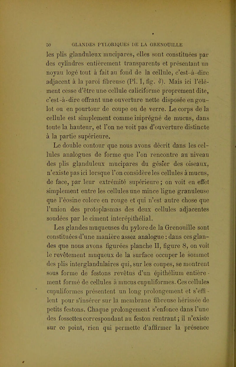 les plis glanduleux mucipares, elles sont constituées par des cylindres entièrement transparents et présentant un noyau logé tout à fait au fond de la cellule, c'est-à-dire adjacent à la paroi fibreuse (Pl. I, fig. à). Mais ici l'élé- ment cesse d'être une cellule caliciforme proprement dite, c'est-à-dire offrant une ouverture nette disposée en gou- lot ou en pourtour de coupe ou de verre. Le corps de la cellule est simplement comme imprégné de mucus, dans toute la hauteur, et l'on ne voit pas d'ouverture distincte à la partie supérieure. Le double contour que nous avons décrit dans les cel- lules analogues de forme que l'on rencontre au niveau des plis glanduleux mucipares du gésier des oiseaux, n'existe pas ici lorsque l'on considère les cellules à mucus, de face, par leur extrémité supérieure ; on voit en effet simplement entre les cellules une mince ligne granuleuse que l'éosine colore en rouge et qui n'est autre chose que l'union des protoplasmas des deux cellules adjacentes soudées par le ciment interépithélial. Les glandes muqueuses du pylore de la Grenouille sont constituées d'une manière assez analogue : dans ces glan- des que nous avons figurées planche II, figure 8, on voit le revêtement muqueux de la surface occuper le sommet des plis interglandulaires qui, sur les coupes, se montrent sous forme de festons revêtus d'un épithélium entière • ment formé de cellules à mucus cupuliformes. Ces cellules cupuliformes présentent un long prolongement et s'effi - lent pour s'insérer sur la membrane fibreuse hérissée de petits festons. Chaque prolongement s'enfonce dans l'une des fossettes correspondant au feston rentrant; il n'existe sur ce point, rien qui permette d'affirmer la présence