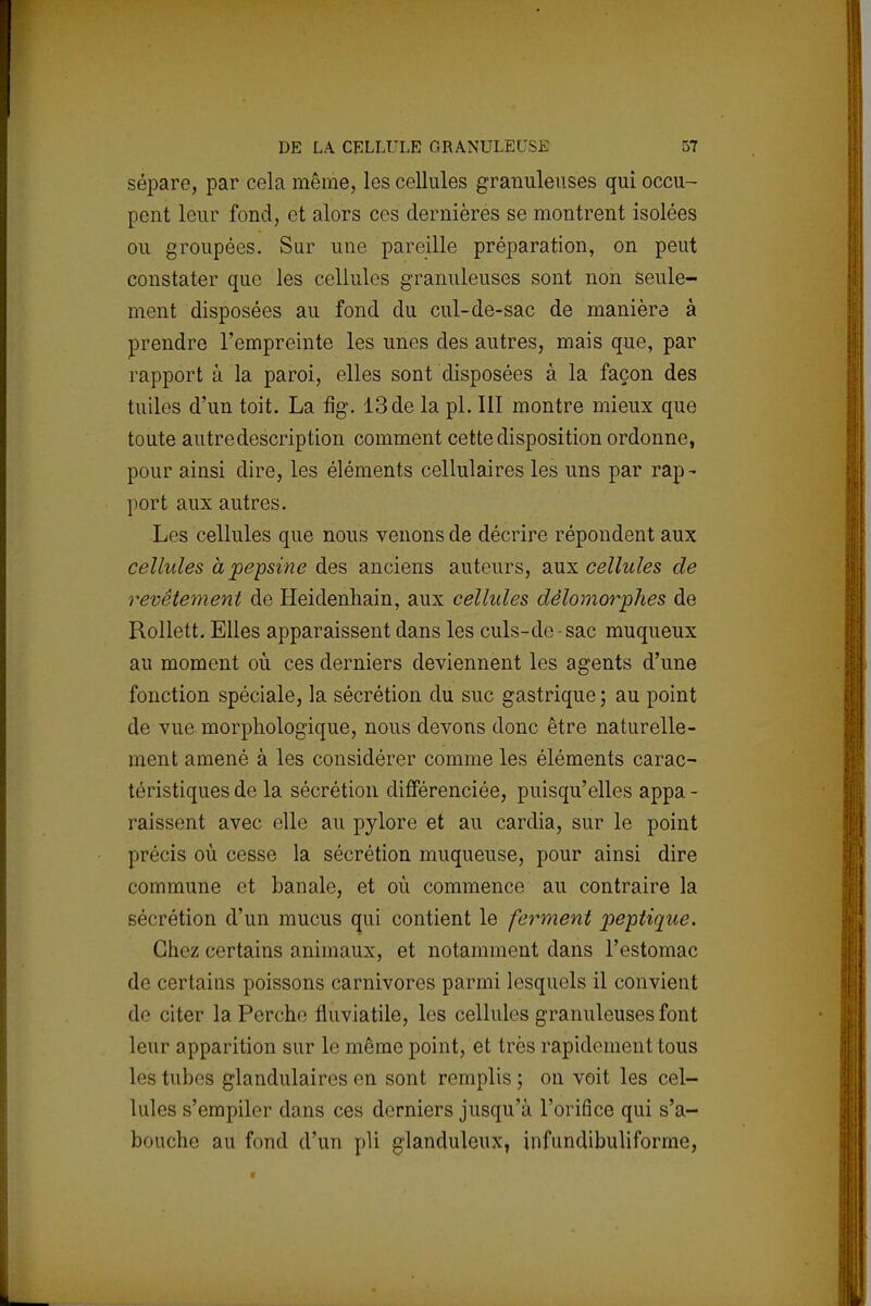 sépare, par cela même, les cellules granuleuses qui occu- pent leur fond, et alors ces dernières se montrent isolées ou groupées. Sur une pareille préparation, on peut constater que les cellules granuleuses sont non seule- ment disposées au fond du cul-de-sac de manière à prendre l'empreinte les unes des autres, mais que, par rapport à la paroi, elles sont disposées à la façon des tuiles d'un toit. La %. 13 de la pl. III montre mieux que toute autre description comment cette disposition ordonne, pour ainsi dire, les éléments cellulaires les uns par rap- port aux autres. Les cellules que nous venons de décrire répondent aux cellules à pepsine des anciens auteurs, aux cellules de revêtement de Heidenhain, aux cellules dëlomorphes de Rollett. Elles apparaissent dans les culs-de-sac muqueux au moment où ces derniers deviennent les agents d'une fonction spéciale, la sécrétion du suc gastrique ; au point de vue morphologique, nous devons donc être naturelle- ment amené à les considérer comme les éléments carac- téristiques de la sécrétion différenciée, puisqu'elles appa - raissent avec elle au pylore et au cardia, sur le point précis où cesse la sécrétion muqueuse, pour ainsi dire commune et banale, et où commence au contraire la sécrétion d'un mucus qui contient le ferment peptique. Chez certains animaux, et notamment dans l'estomac de certains poissons carnivores parmi lesquels il convient de citer la Perche fluviatile, les cellules granuleuses font leur apparition sur le même point, et très rapidement tous Les tubes glandulaires en sont remplis; on voit les cel- lules s'empiler dans ces derniers jusqu'à l'orifice qui s'a- bouche au fond d'un pli glanduleux, iufundibuliforme,
