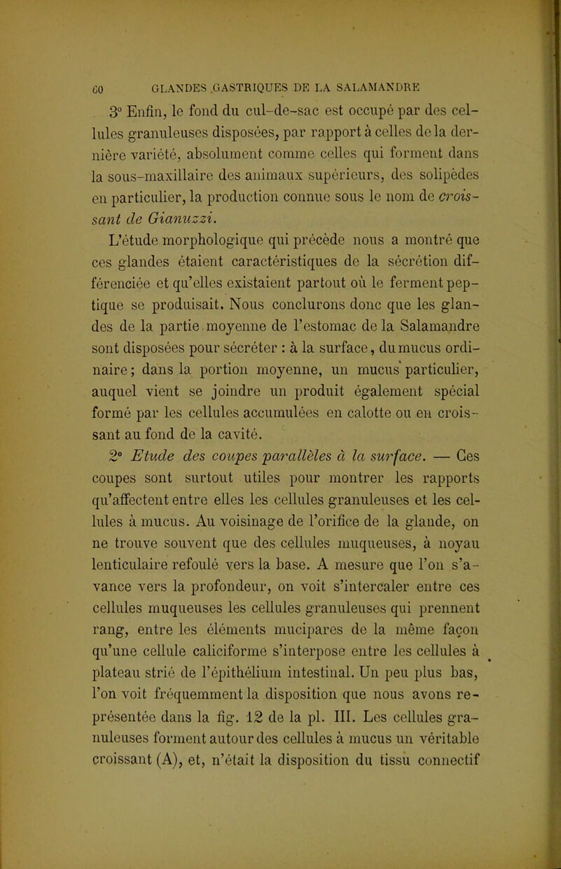 CO GLANDES GASTRIQUES DE LA SALAMANDRE 3° Enfin, le fond du cul-de-sac est occupé par des cel- lules granuleuses disposées, par rapport à celles delà der- nière variété, absolument comme celles qui forment clans la sous-maxillaire des animaux supérieurs, dos solipèdes en particulier, la production connue sous le nom de crois- sant de Gianuzzi. L'étude morphologique qui précède nous a montré que ces glandes étaient caractéristiques de la sécrétion dif- férenciée et qu'elles existaient partout où le ferment pep- tique se produisait. Nous conclurons donc que les glan- des de la partie , moyenne de l'estomac de la Salamandre sont disposées pour sécréter : à la surface, du mucus ordi- naire ; dans la portion moyenne, un mucus' particulier, auquel vient se joindre un produit également spécial formé par les cellules accumulées en calotte ou en crois- sant au fond de la cavité. 2° Etude des coupes parallèles à la surface. — Ces coupes sont surtout utiles pour montrer les rapports qu'affectent entre elles les cellules granuleuses et les cel- lules à mucus. Au voisinage de l'orifice de la glande, on ne trouve souvent que des cellules muqueuses, à noyau lenticulaire refoulé vers la base. A mesure que l'on s'a- vance vers la profondeur, on voit s'intercaler entre ces cellules muqueuses les cellules granuleuses qui prennent rang, entre les éléments mucipares de la même façon qu'une cellule caliciforme s'interpose entre les cellules à plateau strié de l'épithélium intestinal. Un peu plus bas, l'on voit fréquemment la disposition que nous avons re- présentée dans la fig. 12 de la pl. III. Les cellules gra- nuleuses forment autour des cellules à mucus un véritable croissant (A), et, n'était la disposition du tissu connectif