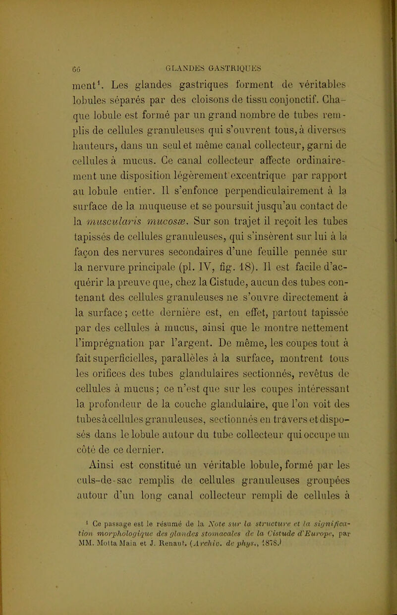 ment1. Les glandes gastriques forment de véritables lobules séparés par des cloisons de tissu conjonctif. Cha- que lobule est formé par un grand nombre de tubes rem- plis de cellules granuleuses qui s'ouvrent tous, à diverse- hauteurs, dans un seul et même canal collecteur, garni de cellules à mucus. Ce canal collecteur affecte ordinaire- ment une disposition légèrement excentrique par rapport au lobule entier. Il s'enfonce perpendiculairement à la surface de la muqueuse et se poursuit jusqu'au contact de la muscuïaris mucosse. Sur son trajet il reçoit les tubes tapissés de cellules granuleuses, qui s'insèrent sur lui à la façon des nervures secondaires d'une feuille pennée sur la nervure principale (pl. IV, fig. 18). Il est facile d'ac- quérir la preuve que, chez la Gistude, aucun des tubes con- tenant des cellules granuleuses ne s'ouvre directement à la surface ; cette dernière est, en effet, partout tapissée par des cellules à mucus, ainsi que le montre nettement l'imprégnation par l'argent. De même, les coupes tout à fait superficielles, parallèles à la surface, montrent tous les orifices des tubes glandulaires sectionnés, revêtus de cellules à mucus; ce n'est que sur les coupes intéressant la profondeur de la couche glandulaire, que l'on voit des tubes à cellules granuleuses, sectionnés en travers et dispo- sés dans le lobule autour du tube collecteur qui occupe un côté de ce dernier. Ainsi est constitué un véritable lobule, formé par les culs-de-sac remplis de cellules granuleuses groupées autour d'un long canal collecteur rempli de cellules à 1 Ce passage est le résumé de la Note sur la structure et la significa- tion morphologique des glandes stomacales de la Cistude d'Europe, par MM. MoltaMaia et J. Renaut. (Archio. de phys., 18S.'