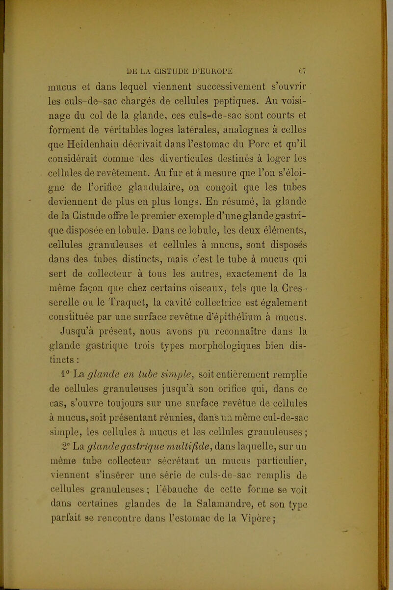 DE LA CISTUDE JJ'EUKUl'K tl mucus et dans lequel viennent successivement s'ouvrir les culs-de-sac chargés de cellules peptiques. Au voisi- nage du col de la glande, ces culs-de-sac sont courts et forment de véritables loges latérales, analogues à celles que Heidenhain décrivait dans l'estomac du Porc et qu'il considérait comme des diverticules destinés à loger les cellules de revêtement. Au fur et à mesure que l'on s'éloi- gne de l'orifice glandulaire, on conçoit que les tubes deviennent de plus en plus longs. En résumé, la glande de la Gistude offre le premier exemple d'une glande gastri- que disposée en lobule. Dans ce lobule, les deux éléments, cellules granuleuses et cellules à mucus, sont disposés dans des tubes distincts, mais c'est le tube à mucus qui sert de collecteur à tous les autres, exactement de la même façon que chez certains oiseaux, tels que la Cres- serelle ou le Traquet, la cavité collectrice est également constituée par une surface revêtue d'épithélium à mucus. Jusqu'à présent, nous avons pu reconnaître dans la glande gastrique trois types morphologiques bien dis- tincts : i° La. glande en tube simple, soit entièrement remplie de cellules granuleuses jusqu'à son orifice qui, dans ce cas, s'ouvre toujours sur une surface revêtue de cellules à mucus, soit présentant réunies, dans un même cul-de-sac simple, les cellules à mucus et les cellules granuleuses ; 2° La glande gastrique multiftde, dans laquelle, sur un même tube collecteur sécrétant un mucus particulier, viennent s'insérer une série de culs-de-sac remplis de cellules granuleuses; l'ébauche de cette forme se voit dans certaines glandes de la Salamandre, et son type parlait se rencontre dans l'estomac de la Vipère ;