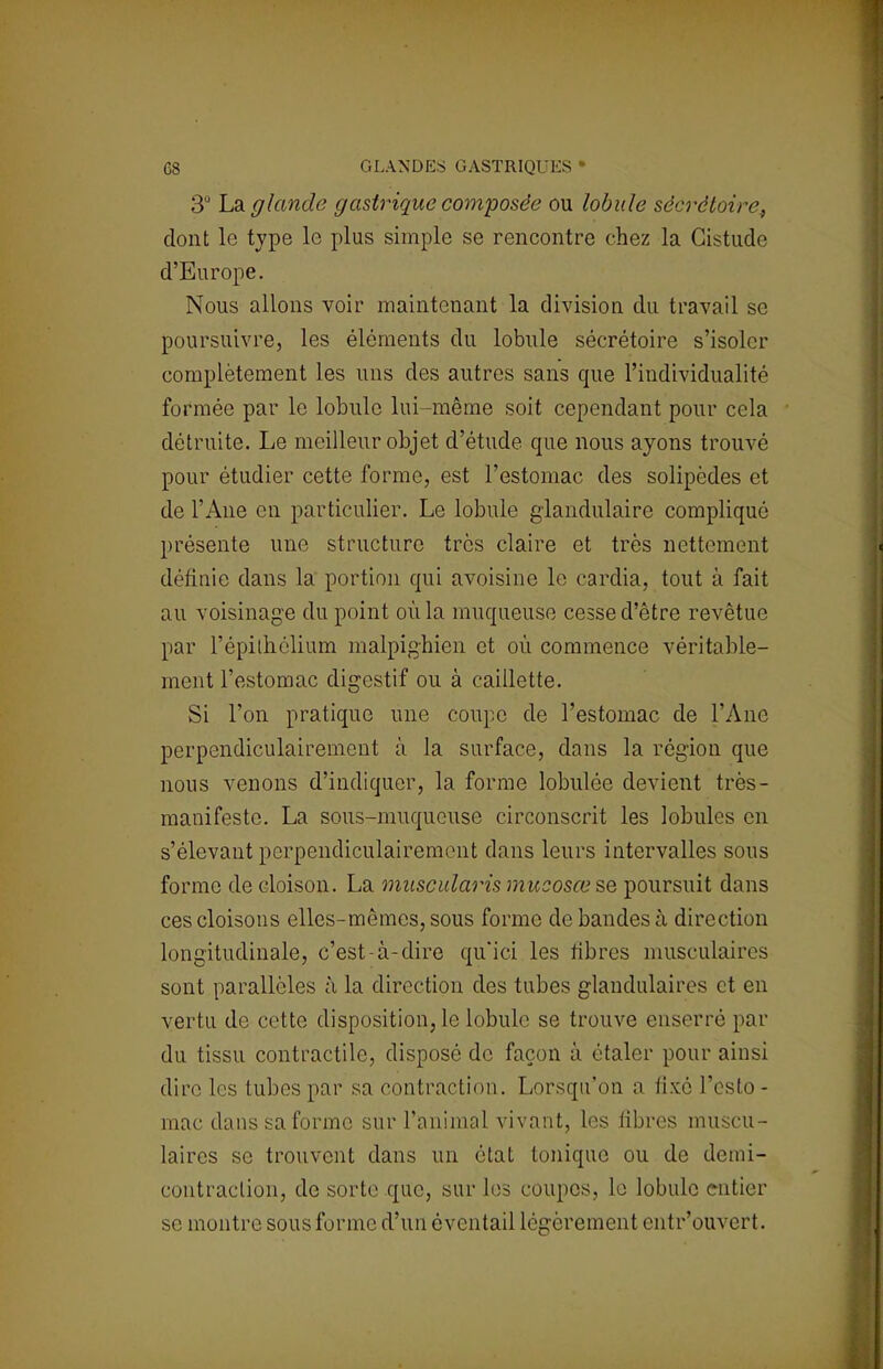 3° La glande gastrique composée ou lobule sécrétairf, dont le type le plus simple se rencontre chez la Gistude d'Europe. Nous allons voir maintenant la division du travail se poursuivre, les éléments du lobule sécrétoire s'isoler complètement les uns des autres sans que l'individualité formée par le lobule lui-même soit cependant pour cela détruite. Le meilleur objet d'étude que nous ayons trouvé pour étudier cette forme, est l'estomac des solipèdes et de l'Ane en particulier. Le lobule glandulaire compliqué présente une structure très claire et très nettement définie dans la portion qui avoisine le cardia, tout à fait au voisinage du point où la muqueuse cesse d'être revêtue par l'épithélium malpighien et où commence véritable- ment l'estomac digestif ou à caillette. Si l'on pratique une coupe de l'estomac de l'Ane perpendiculairement à la surface, dans la région que nous venons d'indiquer, la forme lobulée devient très- manifestc. La sous-muqueuse circonscrit les lobules en s'élevant perpendiculairement dans leurs intervalles sous forme de cloison. La muscularis mucosœsQ poursuit dans ces cloisons elles-mêmes, sous forme de bandes à direction longitudinale, c'est-à-dire qu'ici les libres musculaires sont parallèles à la direction des tubes glandulaires et en vertu de cette disposition, le lobule se trouve enserré par du tissu contractile, disposé de façon à étaler pour ainsi dire les tubes par s:i contraction. Lorsqu'on a fixé l'esto- mac dans sa forme sur l'animal vivant, les fibres muscu- laires se trouvent dans un état tonique ou de demi- contraclion, de sorte que, sur les coupes, le lobule entier se montre sous forme d'un éventail légèrement entr'ouvert.