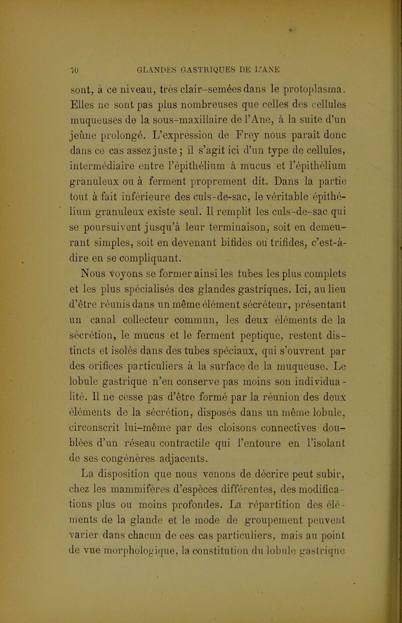 sont, à ce niveau, très clair-seméesdans le protoplasma. Elles ne sont pas plus nombreuses que celles des cellules muqueuses de la sous-maxillaire de l'Ane, à la suite d'un jeûne prolongé. L'expression de Frey nous paraît donc dans ce cas assez juste ; il s'agit ici d'un type de cellules, intermédiaire entre l'épithélium à mucus et l'épithélium granuleux ou à ferment proprement dit. Dans la partie tout à fait inférieure des culs-de-sac, le véritable épithé- lium granuleux existe seul. Il remplit les culs-de-sac qui se poursuivent jusqu'à leur terminaison, soit en demeu- rant simples, soit en devenant bifides ou trifides, c'est-à- dire en se compliquant. Nous voyons se former ainsi les tubes les plus complets et les plus spécialisés des glandes gastriques. Ici, au lieu d'être réunis dans un même élément sécréteur, présentant un canal collecteur commun, les deux éléments de la sécrétion, le mucus et le ferment peptique, restent dis- tincts et isolés dans des tubes spéciaux, qui s'ouvrent par des orifices particuliers à la surface de la muqueuse. Le lobule gastrique n'en conserve pas moins son individua- lité. Il ne cesse pas d'être formé par la réunion des deux éléments de la sécrétion, disposés dans un même lobule, circonscrit lui-même par des cloisons connectives dou- blées d'un réseau contractile qui l'entoure en l'isolant de ses congénères adjacents. La disposition que nous venons de décrire peut subir, chez les mammifères d'espèces différentes, des modifica- tions plus ou moins profondes. La répartition des élé- ments de la glande et le mode de groupement peuvent varier dans chacun de ces cas particuliers, mais au point de vue morphologique, la constitution du lobule gastrique