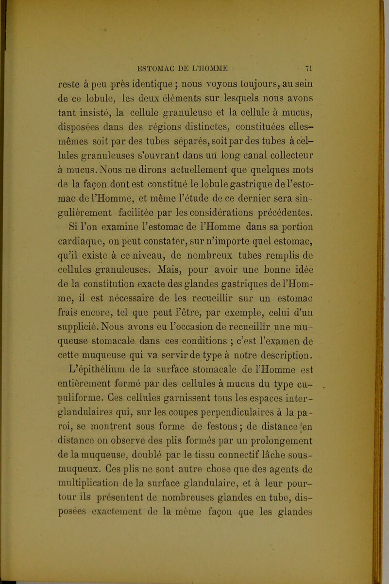 reste à peu près identique ; nous voyons toujours, au sein de ce lobule, les deux éléments sur lesquels nous avons tant insisté, la cellule granuleuse et la cellule à mucus, disposées dans des régions distinctes, constituées elles- mêmes soit par des tubes séparés, soit par des tubes à cel- lules granuleuses s'ouvrant dans un long canal collecteur à mucus. Nous ne dirons actuellement que quelques mots de la façon dont est constitué le lobule gastrique de l'esto- mac de l'Homme, et même l'étude de ce dernier sera sin- gulièrement facilitée par les considérations précédentes. Si l'on examine l'estomac de l'Homme dans sa portion cardiaque, on peut constater, sur n'importe quel estomac, qu'il existe à ce niveau, de nombreux tubes remplis de cellules granuleuses. Mais, pour avoir une bonne idée de la constitution exacte des glandes gastriques de l'Hom- me, il est nécessaire de les recueillir sur un estomac frais encore, tel que peut l'être, par exemple, celui d'un supplicié. Nous avons eu l'occasion de recueillir une mu- queuse stomacale dans ces conditions ; c'est l'examen de cette muqueuse qui va servir de type à notre description. L'épithélium de la surface stomacale de l'Homme est entièrement formé par des cellules à mucus du type cu- puliforme. Ces cellules garnissent tous les espaces inter- glandulaires qui, sur les coupes perpendiculaires à la pa- roi, se montrent sous forme de festons ; de distance jeu distance on observe des plis formés par un prolongement de la muqueuse, doublé par le tissu connectif lâche sous- mu queux. Ces plis ne sont autre chose que des agents de multiplication de la surface glandulaire, et à leur powv tour ils présentent de nombreuses glandes en tube, dis- posées exactement de la même façon que les glandes