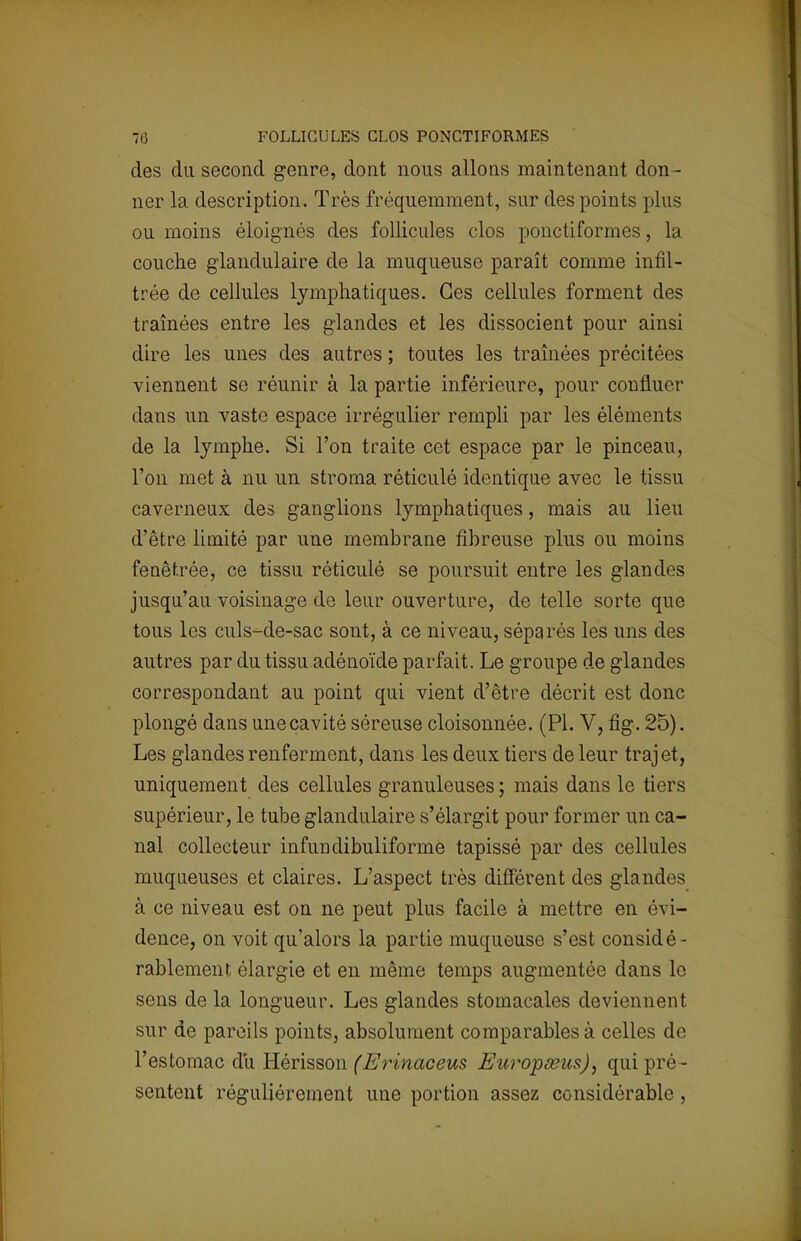 des du second genre, dont nous allons maintenant don - ner la description. Très fréquemment, sur des points plus ou moins éloignés des follicules clos ponctiformes, la couche glandulaire de la muqueuse paraît comme infil- trée de cellules lymphatiques. Ces cellules forment des traînées entre les glandes et les dissocient pour ainsi dire les unes des autres ; toutes les traînées précitées viennent se réunir à la partie inférieure, pour confluer dans un vaste espace irrégulier rempli par les éléments de la lymphe. Si l'on traite cet espace par le pinceau, l'on met à nu un stroma réticulé identique avec le tissu caverneux des ganglions lymphatiques, mais au lieu d'être limité par une membrane fibreuse plus ou moins fenêt.rée, ce tissu réticulé se poursuit entre les glandes jusqu'au voisinage de leur ouverture, de telle sorte que tous les culs-de-sac sont, à ce niveau, séparés les uns des autres par du tissu adénoïde parfait. Le groupe de glandes correspondant au point qui vient d'être décrit est donc plongé dans une cavité séreuse cloisonnée. (Pl. V, fig. 25). Les glandes renferment, dans les deux tiers de leur trajet, uniquement des cellules granuleuses ; mais dans le tiers supérieur, le tube glandulaire s'élargit pour former un ca- nal collecteur infundibuliforme tapissé par des cellules muqueuses et claires. L'aspect très différent des glandes à ce niveau est on ne peut plus facile à mettre en évi- dence, on voit qu'alors la partie muqueuse s'est considé- rablement, élargie et en même temps augmentée dans le sens de la longueur. Les glandes stomacales deviennent sur de pareils points, absolument comparables à celles de l'estomac du Hérisson (Erinaceus Europœus), qui pré- sentent régulièrement une portion assez considérable,