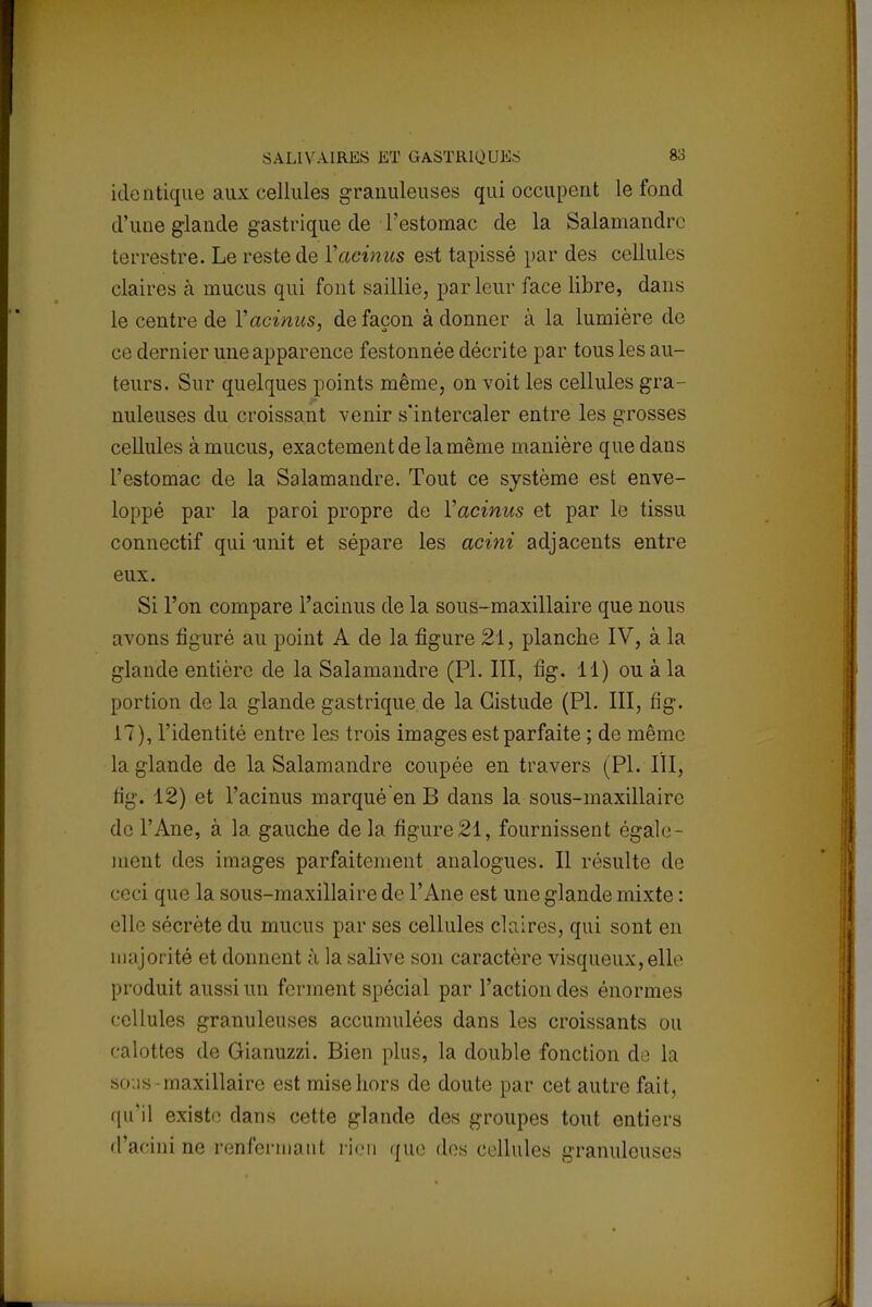 identique aux cellules granuleuses qui occupent le fond d'une glande gastrique de l'estomac de la Salamandre terrestre. Le reste de Yacinus est tapissé par des cellules claires à mucus qui font saillie, parleur face libre, dans le centre de Yacinus, de façon adonner à la lumière de ce dernier une apparence festonnée décrite par tous les au- teurs. Sur quelques points même, on voit les cellules gra- nuleuses du croissant venir s'intercaler entre les grosses cellules à mucus, exactement de la même manière que dans l'estomac de la Salamandre. Tout ce système est enve- loppé par la paroi propre de Yacinus et par le tissu connectif qui unit et sépare les acini adjacents entre eux. Si l'on compare l'acinus de la sous-maxillaire que nous avons figuré au point A de la figure 21, planche IV, à la glande entière de la Salamandre (Pl. III, fig. 11) ou à la portion de la glande gastrique de la Gistude (Pl. III, fig. 17), l'identité entre les trois images est parfaite ; de même la glande de la Salamandre coupée en travers (Pl. III, fig. 12) et l'acinus marqué en B dans la sous-maxillaire de l'Ane, à la gauche de la figure21, fournissent égale- ment des images parfaitement analogues. Il résulte de ceci que la sous-maxillaire de l'Ane est une glande mixte : clic secrète du mucus par ses cellules claires, qui sont en majorité et donnent à la salive son caractère visqueux, elle produit aussi un ferment spécial par l'action des énormes cellules granuleuses accumulées dans les croissants ou calottes de Gianuzzi. Bien plus, la double fonction de la sous maxillaire est mise hors do doute par cet autre fait, qu'il existe dans cette glande des groupes tout entiers cl'acini ne renfermant rien que des cellules granuleuses