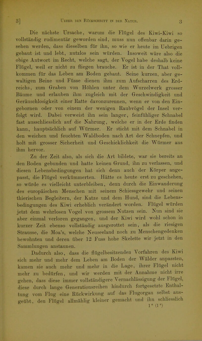 3 Die nächste Ursache, warum die Flügel des Kiwi-Kiwi so vollständig rudimentär geworden sind, muss nun offenbar darin ge- sehen werden, dass dieselben für ihn, so wie er heute im Uebrigen gebaut ist ixnd lebt, nutzlos sein würden. Insoweit wäre also die obige Antwort im Recht, welche sagt, der Vogel habe deshalb keine Flügel, weil er nicht zu fliegen brauche. Er ist in der That voll- kommen für das Leben am Boden gebaut. Seine kurzen, aber ge- waltigen Beine und Füsse dienen ihm zum Aufscharren des Erd- reichs, zum Graben von Höhlen unter dem Wurzelwerk grosser Bäume und erlauben ihm zugleich mit der Geschwindigkeit und Geräuschlosigkeit einer Ratte davonznrennen, wenn er von den Ein- gebornen oder von einem der wenigen Raubvögel der Insel ver- folgt wird. Dabei verweist ihn sein langer, feinfühliger Schnabel fast ausschliesslich auf die Nahrung, welche er in der Erde finden kann, hauptsächlich auf Würmer. Er sticht mit dem Schnabel in den weichen und feuchten Waldboden nach Art der Schnepfen, und holt mit grosser Sicherheit und Geschicklichkeit die Würmer aus ihm hervor. Zu der Zeit also, als sich die Art bildete, war sie bereits an den Boden gebimden nnd hatte keinen Grund, ihn zu verlassen, und diesen Lebensbedingungen hat sich denn auch der Körper ange- passt, die Flügel verkümmerten. Hätte es heute erst zu geschehen, so würde es vielleicht unterbleiben, denn durch die Einwanderung des europäischen Menschen mit seinem Schiessgewehr und seinen thierischen Begleitern, der Katze und dem Hund, sind die Lebens- bedingungen des Kiwi erheblich verändert worden. Flügel würden jetzt dem wehrlosen Vogel von grossem Niitzen sein. Nun sind sie aber einmal verloren gegangen, und der Kiwi wird wohl schon in kurzer Zeit ebenso vollständig ausgerottet sein, als die riesigen Strausse, die Moa's, welche Neuseeland noch zu Menschengedenken bewohnten und deren über 12 Fuss hohe Skelette wir jetzt in den Sammlungen anstaunen. Dadurch also, dass die flügelbesitzenden Vorfahren des Kiwi sich mehr und mehr dem Leben am Boden der Wälder anpassten, kamen sie auch mehr und mehr in die Lage, ihrer Flügel nicht mehr zu bedürfen, und wir werden mit der Annahme nicht irre gehen, dass diese immer vollständigere Vernachlässigung der Flügel, diese durch lange Generationsreihen hindurch fortgesetzte Enthal- tung vom Flug eine Rückwirkung auf das Flugorgan selbst aus- geübt, den Flügel allmählig kleiner gemacht und ihn schliesslich