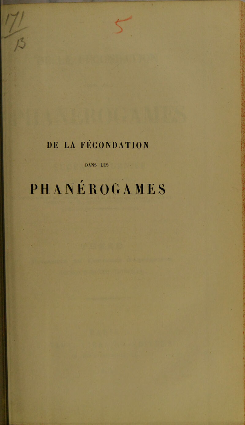 DE LA FÉCONDATION DANS LES PHANEROGAMES