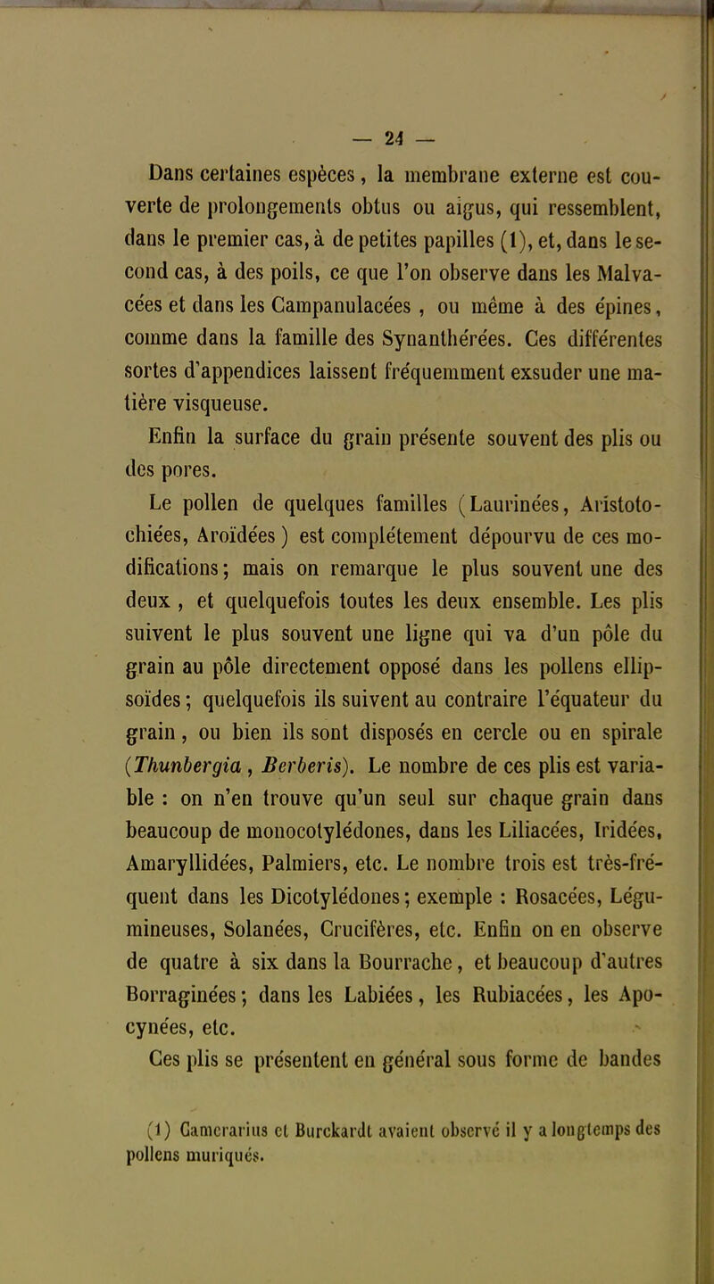 Dans certaines espèces, la membrane externe est cou- verte de prolongements obtus ou aigus, qui ressemblent, dans le premier cas, à de petites papilles (1), et, dans le se- cond cas, à des poils, ce que l'on observe dans les Malva- ce'es et dans les Campanulacées, ou même à des épines, comme dans la famille des Synanthe're'es. Ces différentes sortes d'appendices laissent fréquemment exsuder une ma- tière visqueuse. Enfin la surface du grain présente souvent des plis ou des pores. Le pollen de quelques familles (Laurinées, Aristoto- chiées, Aroïdées ) est complètement dépourvu de ces mo- difications ; mais on remarque le plus souvent une des deux , et quelquefois toutes les deux ensemble. Les plis suivent le plus souvent une ligne qui va d'un pôle du grain au pôle directement opposé dans les pollens ellip- soïdes ; quelquefois ils suivent au contraire l'équateur du grain, ou bien ils sont disposés en cercle ou en spirale (Thunbergia , Berberis). Le nombre de ces plis est varia- ble : on n'en trouve qu'un seul sur chaque grain dans beaucoup de monocolylédones, dans les Liliacées, Ii idées, Amaryllidées, Palmiers, etc. Le nombre trois est très-fré- quent dans les Dicotylédones; exemple : Rosacées, Légu- mineuses, Solanées, Crucifères, etc. Enfin on en observe de quatre à six dans la Bourrache, et beaucoup d'autres Borraginées ; dans les Labiées, les Rubiacées, les Apo- cynées, etc. Ces plis se présentent en général sous forme de bandes (1) Gamcrarins el Burckardt avaient observe il y a longtemps des pollens muriqués.