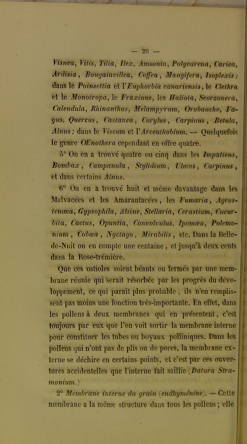 Visnea, Vilis. Mfa, llex, Amsonia, Polycarena, Carica, Ardisia, liougainvillea, Coffea , Mangifera, lsopleœis ; dans le Poinsellia et YFuphorbia canariensis, le Clethra et le Mûnotropa, le Fraœinus, les Haliola, Scorzonera, Calendula, Rhinanthus, Melampyrum, Orobanche, Fa- gus, Quercus, Casianea, Corylus, Carpinus, Betula, Alnus ; dans le Viscum et YArceulhobhim. — Quelquefois le genre OEnothera cependant en offre quatre. ô° On en a trouvé quatre ou cinq dans les Impatiens, Bombax , Campamda, Slylidium, llmus, Carpinus , et dans certains Alnus. 6° On en a trouvé huit et même davantage dans les Malvàcées et les Amarantacées, les Fumaria, Agros- temma, Gypsophila, Alsine, Stellaria, Cerastium, Cucur- bi(a, Cactus, Opuntia, Convolvulus, Ipomœa, Polcmo- nium , Cobœa , Nyclago, Mirabilis, etc. Dans la Belle- de-Nuit on en compte une centaine , et jusqu'à deux cents dans la Rose-trémière. Que ces ostioles soient béants ou fermés par une mem- brane réunie qui serait résorbée par les progrès du déve- loppement, ce qui paraît plus probable . ils n'en remplis- sent pas moins une fonction très-importante. En effet, dans les pollens à deux membranes qui en présentent, c'est toujours par eux que l'on voit sortir la membrane interne pour constituer les tubes ou boyaux pollim'ques. Dans les pollens qui n'ont pas de plis ou de pores, la membrane ex- terne se déchire en certains points, et c'est par ces ouver- tures accidentelles que l'interne fait saillie (Datura Slra- monium.) 2° Membrane interne du grain (endhyme'nine^. —Cette membrane a la même structure dans tous les pollens; elle