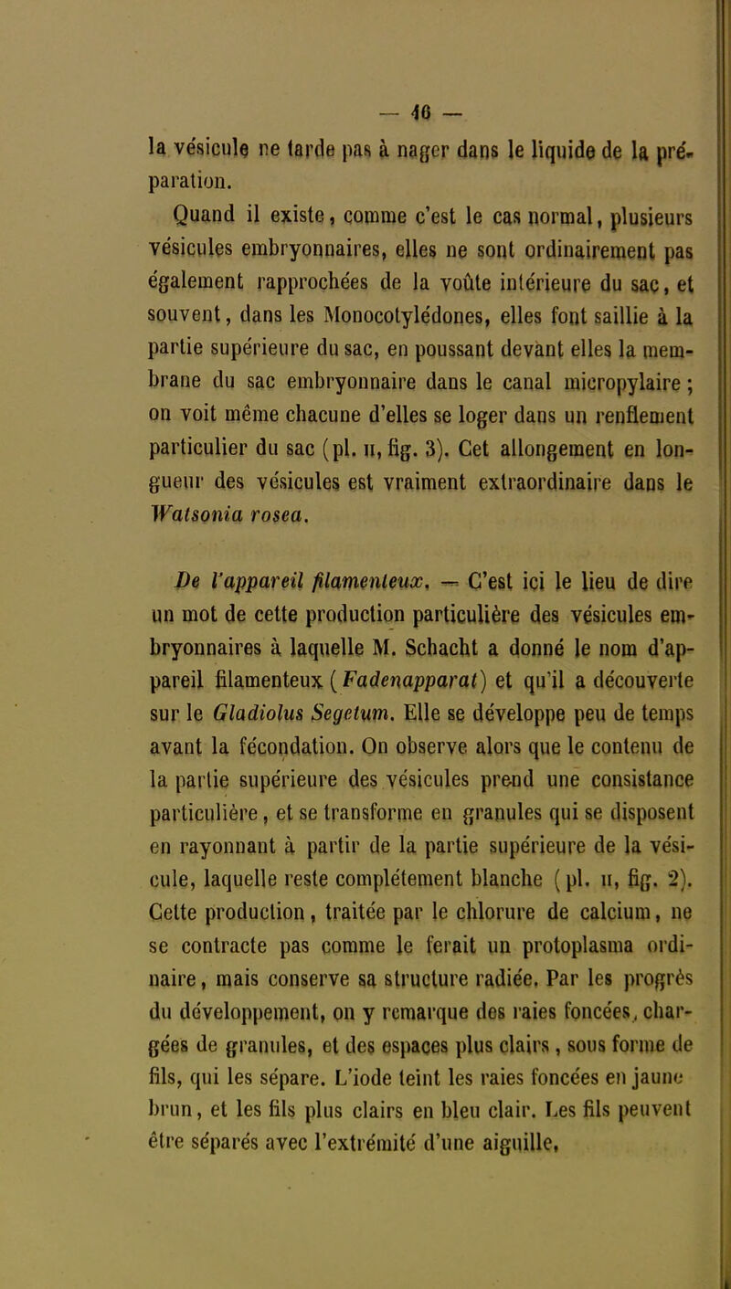 _ 4e - la vésicule ne larde pas à nager dans le liquide de la pré- paration. Quand il existe, comme c'est le cas normal, plusieurs vésicules embryonnaires, elles ne sont ordinairement pas également rapprochées de la voûte intérieure du sac, et souvent, dans les Monocotylédones, elles font saillie à la partie supérieure du sac, en poussant devant elles la mem- brane du sac embryonnaire dans le canal micropylaire ; on voit même chacune d'elles se loger dans un renflement particulier du sac (pl. n, fig. 3). Cet allongement en lon- gueur des vésicules est vraiment extraordinaire dans le Watsonia rosea. De Vappareil filamenteux. — C'est ici le lieu de dire un mot de cette production particulière des vésicules em- bryonnaires à laquelle M. Schacht a donné le nom d'ap- pareil filamenteux ( Fadenapparat) et qu'il a découverte sur le Gladiolus Segelum. Elle se développe peu de temps avant la fécondation. On observe alors que le contenu de la partie supérieure des vésicules prend une consistance particulière, et se transforme en granules qui se disposent en rayonnant à partir de la partie supérieure de la vési- cule, laquelle reste complètement blanche (pl. u, fig. 2). Celte production, traitée par le chlorure de calcium, ne se contracte pas comme le ferait un protoplasma ordi- naire , mais conserve sa structure radiée. Par les progrès du développement, on y remarque des raies foncées , char- gées de granules, et des espaces plus clairs, sous forme de fils, qui les sépare. L'iode teint les raies foncées en jaune brun, et les fils plus clairs en bleu clair. Les fils peuvent être séparés avec l'extrémité d'une aiguille,