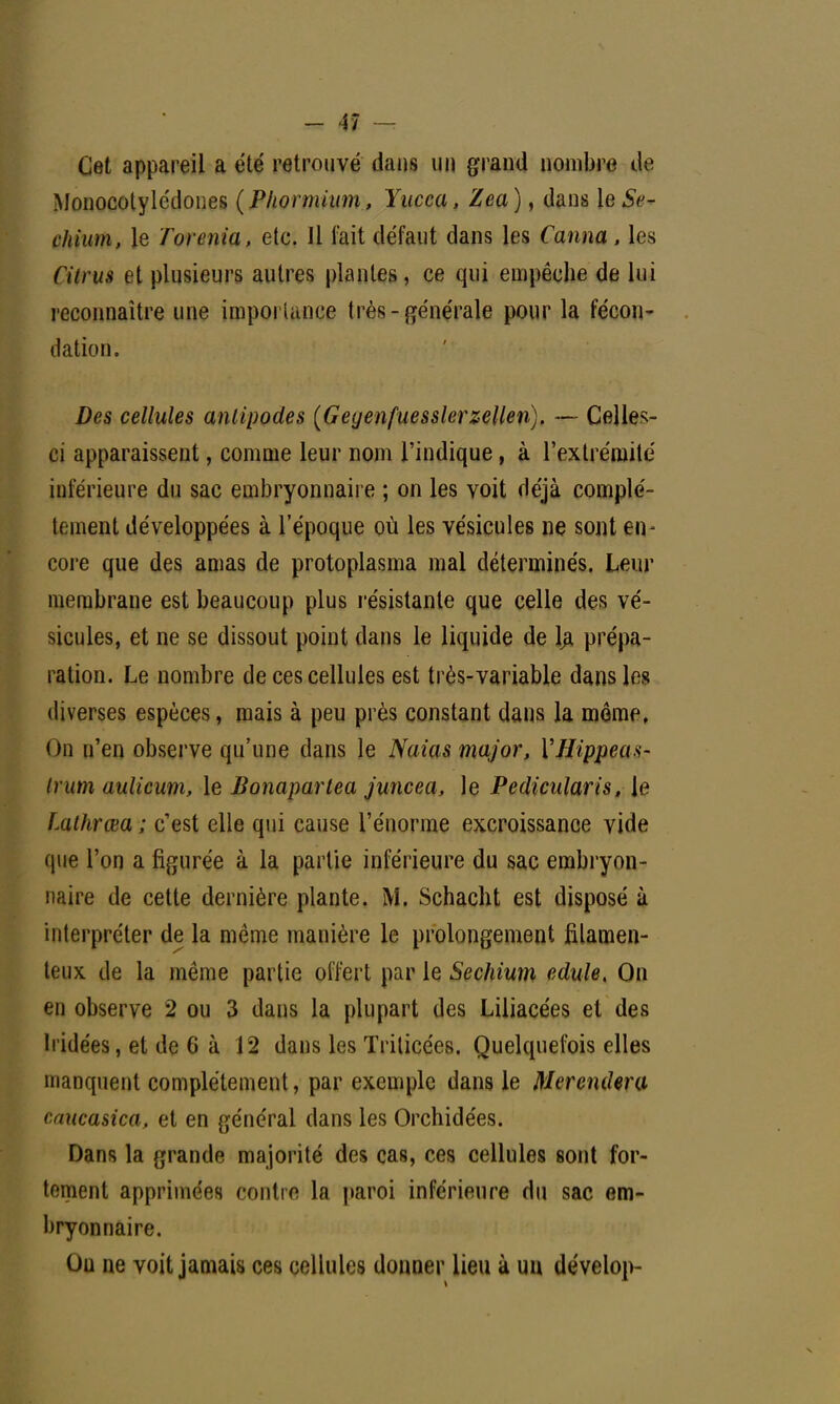 Cet appareil a été retrouvé dans un grand nombre de Monocotylédones (Phonnium., Yucca, Zea), dans le£f- chium, le Torcnia, etc. Il fait défaut dans les Canna, les fitrus et plusieurs autres plantes, ce qui empêche de lui reconnaître une importance très-générale pour la fécon- dation. Des cellules antipodes (Geyenfuesslerzellen). — Celle-- ci apparaissent, comme leur nom l'indique, à l'extrémité inférieure du sac embryonnaire ; on les voit déjà complè- tement développées à l'époque où les vésicules ne sont en- core que des amas de protoplasma mal déterminés. Leur membrane est beaucoup plus résistante que celle des vé- sicules, et ne se dissout point dans le liquide de la prépa- ration. Le nombre de ces cellules est très-variable dans les diverses espèces, mais à peu près constant dans la môme, On n'en observe qu'une dans le Naias major, VHippea*- trum aulicum, le Bonapartea juncea, le Pediarfaris, le Lalhrœa ; c'est elle qui cause l'énorme excroissance vide que l'on a figurée à la partie inférieure du sac embryon- naire de cette dernière plante. M. Schacht est disposé à interpréter de la même manière le prolongement filamen- teux de la même partie offert par le Sechium edule, On en observe 2 ou 3 dans la plupart des Liliacées et des li idées, et de 6 à 12 dans les Trilicées. Quelquefois elles manquent complètement, par exemple dans le Merendera caucasica, et en général dans les Orchidées. Dans la grande majorité des cas, ces cellules sont for- tement apprimées contre la paroi inférieure du sac em- bryonnaire. Ou ne voit jamais ces cellules donner lieu à un dévelop-