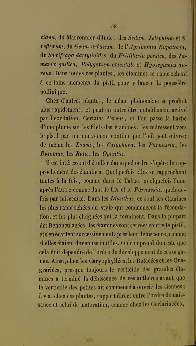 ciana, du Marronnier d'Inde , des Sedum Telephium et S. reflexum, du Geum urbanum, de YJgrimonia Eupaloria, du Saxifraga dactylioides, du Frilillaria persica, des Ta- marix gallica, Poîygonum orientale et Hyoscyamus au- reus. Dans toutes ces plantes, les étamines se rapprochent à certains moments du pistil pour y lancer la poussière pollinique. Chez d'autres plantes, le même phénomène se produit plus rapidement, et peut en outre être notablement activé par l'excitation. Certains Cereus, si l'on passe la barbe d'une plume sur les filets des étamines, les redressent vers le pistil par un mouvement continu que l'œil peut suivre; de même les Loasa, les Cajophora, les Parnassia, les Butomus, les Rula, les Opuntia. 11 est intéressant d'étudier dans quel ordre s'opère le rap- prochement des étamines. Quelquefois elles se rapprochent toutes à la fois, comme dans le Tabac, quelquefois l'une après l'autre comme dans le Lis et le Parnassia, quelque- fois par faisceaux. Dans les Dianthus, ce sont les étamines les plus rapprochées du style qui commencent la féconda- tion , et les plus éloignées qui la terminent. Dans la plupart des Renoncuîacées, les étamines sont serrées contre le pistil, et s'en écartent successivement après leur déhiscence, comme si elles étaient devenues inutiles. On comprend du reste que cela doit dépendre de l'ordre de développement de ces orga- nes. Ainsi, chez les Caryophyllées,les Rutacées et les Ona- grariées, presque toujours le verticille des grandes éta- mines a terminé la déhiscence de ses anthères avant que le verticille des petites ait commencé à ouvrir les siennes ; il y a, chez ces plantes, rapport direct entre l'ordre de nais- sance et celui de maturation, comme chez les Coriariacées,