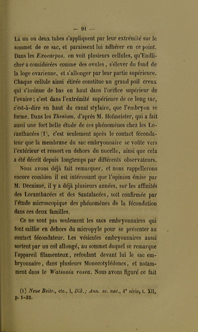 Là un ou deux tubes s'appliquent par leur extrémité sur le sommet de ce sac, et paraissent lui adhérer en ce point. Dans les Eœocarpos, on voit plusieurs cellules, qu'Endli- cher a considérées comme des ovules, s'élever du fond de la loge ovarienne, et s'allonger par leur partie supérieure. Chaque cellule ainsi étirée constitue un grand poil creux qui s'insinue de bas en haut dans l'orifice supérieur de l'ovaire ; c'est dans l'extrémité supérieure de ce long sac, c'est-à-dire en haut du canal stylaire, que l'embryon se forme. Dans les Thesium, d'après M. Hofmeister, qui a fait aussi une fort belle étude de ces phénomènes chez les Lo- ranthacées (1), c'est seulement après le contact féconda- teur que la membrane du sac embryonnaire se voûte vers l'extérieur et ressort en dehors du nucelle, ainsi que cela a été décrit depuis longtemps par différents observateurs. Nous avons déjà fait remarquer, et nous rappellerons encore combien il est intéressant que l'opinion émise par M. Decaisne, il y a déjà plusieurs années, sur les affinités des Loranthacées et des Santalacées, soit confirmée par l'étude microscopique des phénomènes de la fécondation dans ces deux familles. Ce ne sont pas seulement les sacs embryonnaires qui font saillie en dehors du micropyle pour se présenter au contact fécondateur. Les vésicules embryonnaires aussi sortent par un col allongé, au sommet duquel se remarque l'appareil filamenteux, refoulant devant lui le sac em- bryonnaire, dans plusieurs Monocotylédones, et notam- ment dans le Walsonia rosea. Nous avons figuré ce fait (1) Neue JScilr., etc., I, Vile; Ann. se. nat., 4* série, t. XII, p. 1-32.