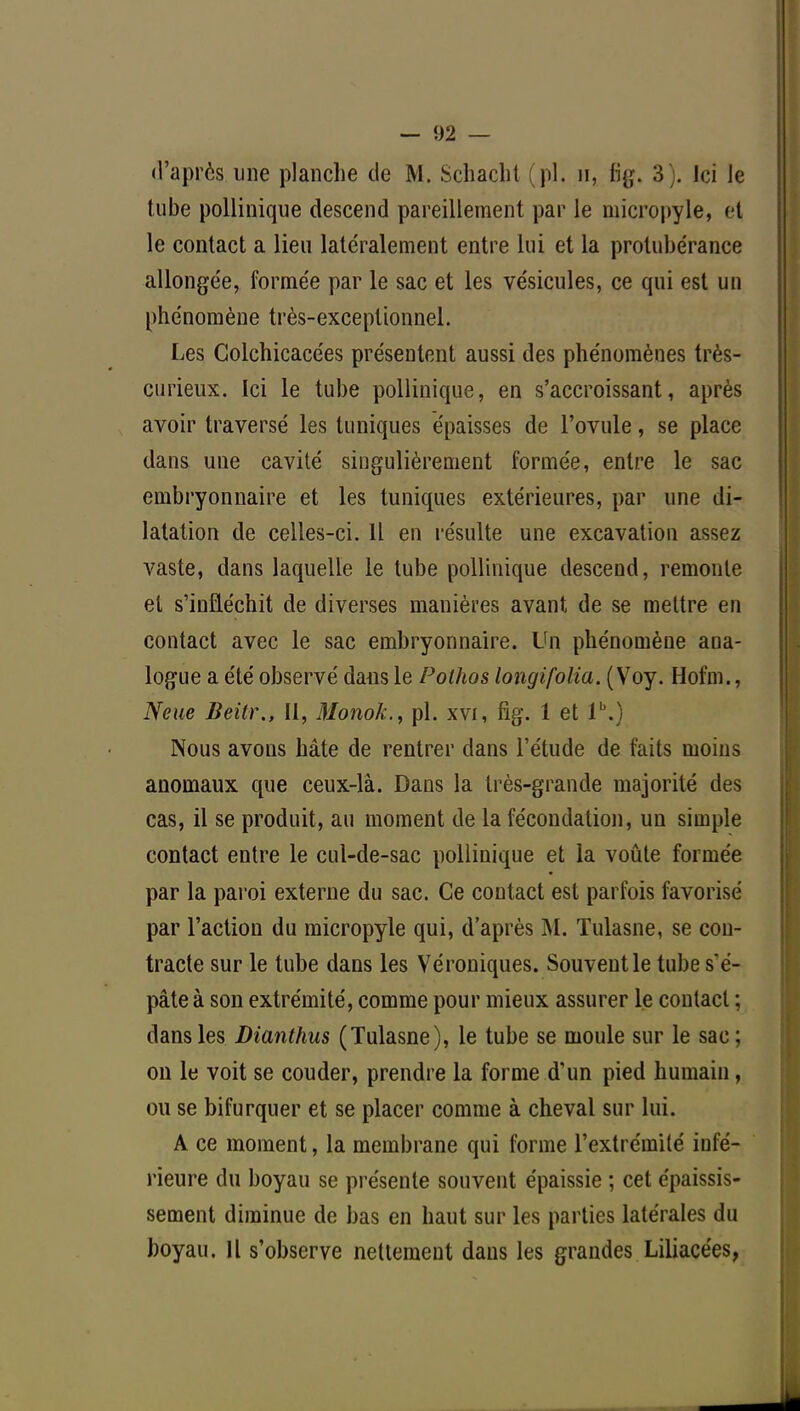 d'après ime planche de M. Schachl (pl. h, fig. 3 . Ici le tube pollinique descend pareillement par le micropyle, et le contact a lieu latéralement entre lui et la protubérance allongée, formée par le sac et les vésicules, ce qui est un phénomène très-exceptionnel. Les Colchicacées présentent aussi des phénomènes très- curieux. Ici le tube pollinique, en s'accroissant, après avoir traversé les tuniques épaisses de l'ovule, se place dans une cavité singulièrement formée, entre le sac embryonnaire et les tuniques extérieures, par une di- latation de celles-ci. Il en résulte une excavation assez vaste, dans laquelle le tube pollinique descend, remonte et s'infléchit de diverses manières avant de se mettre en contact avec le sac embryonnaire. Un phénomène ana- logue a été observé dans le Pothos longifolia. (Voy. Hofm., Ne m Beitr., Il, Monok.f pl. xvi, fig. 1 et lb.) Nous avons hâte de rentrer clans l'étude de faits moins anomaux que ceux-là. Dans la très-grande majorité des cas, il se produit, au moment de la fécondation, un simple contact entre le cul-de-sac pollinique et la voûte formée par la paroi externe du sac. Ce contact est parfois favorisé par l'action du micropyle qui, d'après M. Tulasne, se con- tracte sur le tube dans les Véroniques. Souvent le tube s'é- pâte à son extrémité, comme pour mieux assurer le contact ; dans les Dianthus (Tulasne), le tube se moule sur le sac; on le voit se couder, prendre la forme d'un pied humain , ou se bifurquer et se placer comme à cheval sur lui. A ce moment, la membrane qui forme l'extrémité infé- rieure du boyau se présente souvent épaissie ; cet épaissis- sement diminue de bas en haut sur les parties latérales du boyau. Il s'observe nettement dans les grandes Liliacées,
