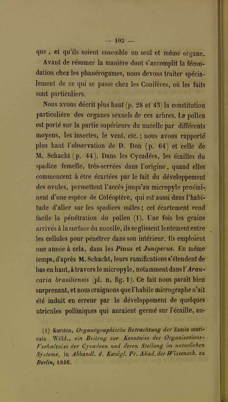 que , et qu'ils soient ensemble un seul et même organe. Avant de résumer la manière dont s'accomplit la fécon- dation chez les phanérogames, nous devons traiter spécia- lement de ce qui se passe chez les Conifères, où les faits sont particuliers. Nous avons décrit plus haut (p. 28 et 43) la constitution particulière des organes sexuels de ces arbres. Le pollen est porté sur la partie supérieure du nucelle par différents moyens, les insectes, le vent, etc. ; nous avons rapporté plus haut l'observation de D. Don (p. 64) et celle de M. Schacht(p. 44). Dans les Cycadées, les écailles du spadice femelle, très-serrées dans l'origine, quand elles commencent à être écartées par le fait du développement des ovules, permettent l'accès jusqu'au micropyle proémi- nent d'une espèce de Goléoptère, qui est aussi dans l'habi- tude d'aller sur les spadices mâles ; cet écartement rend facile la pénétration du pollen (1). Une fois les grains arrivés à la surface du nucelle, ils se glissent lentement entre les cellules pour pénétrer dans son intérieur. Ils emploient une année à cela, dans les Pinus et Juniperus. En même temps, d'après M. Schacht, leurs ramifications s'étendent de bas en haut, à travers le micropyle, notamment dans l'Arau- caria brasiliensis (pl. u, fig. 1). Ce fait nous paraît bien surprenant, et nous craignons que l'habile micrographe n'ait été induit en erreur par le développement de quelques utricules polliniques qui auraient germé sur l'écaillé, au- (1) Karsten, Organographische Bctrachtung dcr Zamia muri- cata Willd.., cin Beitrag zur Kcnnlniss dcr Organisations- Vcrhœltniss der Cycadecn und deren Slellung im naturlichcn Système, in Abhandl. d. Kœnigl. Pr. Akad.dcr JVisscnsch. tu Berlin, 1856.