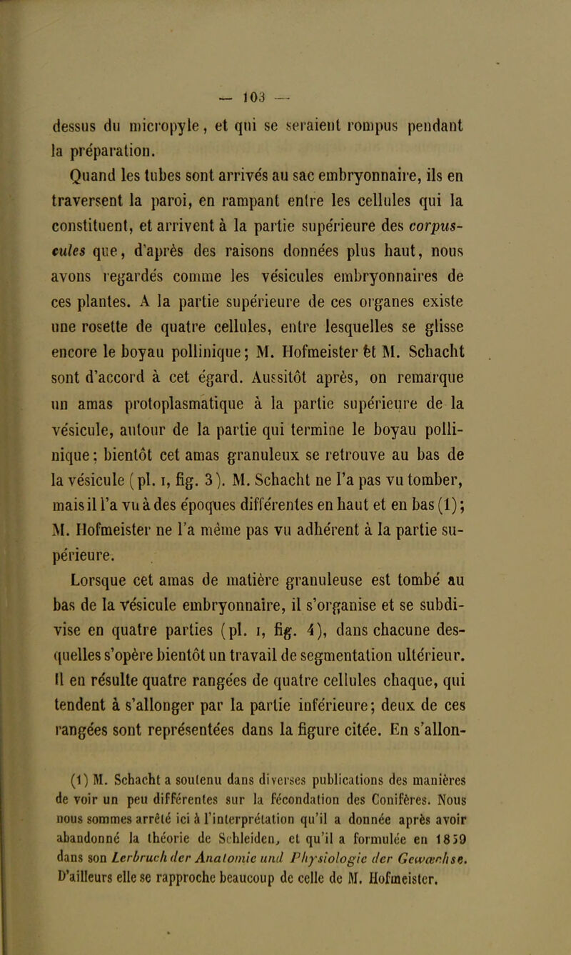 dessus du micropyle, et qui se seraient rompus pendant la préparation. Quand les tubes sont arrivés au sac embryonnaire, ils en traversent la paroi, en rampant entre les cellules qui la constituent, et arrivent à la partie supérieure des corpus- cules que, d'après des raisons données plus haut, nous avons regardés comme les vésicules embryonnaires de ces plantes. A la partie supérieure de ces organes existe une rosette de quatre cellules, entre lesquelles se glisse encore le boyau pollinique; M. Hofmeister èt M. Schacht sont d'accord à cet égard. Aussitôt après, on remarque un amas protoplasmatique à la partie supérieure de la vésicule, autour de la partie qui termine le boyau polli- nique ; bientôt cet amas granuleux se retrouve au bas de la vésicule ( pl. i, fig. 3 ). M. Schacht ne l'a pas vu tomber, mais il l'a vu à des époques différentes en haut et en bas (1) ; M. Hofmeister ne l'a même pas vu adhérent à la partie su- périeure. Lorsque cet amas de matière granuleuse est tombé au bas de la vésicule embryonnaire, il s'organise et se subdi- vise en quatre parties (pl. i, fig. 4), dans chacune des- quelles s'opère bientôt un travail de segmentation ultérieur. Il en résulte quatre rangées de quatre cellules chaque, qui tendent à s'allonger par la partie inférieure; deux de ces rangées sont représentées dans la figure citée. En s'allon- (1) M. Schacht a soutenu dans diverses publications des manières de voir un peu différentes sur la fécondation des Conifères. Nous nous sommes arrêté ici à l'interprétation qu'il a donnée après avoir abandonné la théorie de Schleiden, et qu'il a formulée en 18 59 dans son Lcrbruchdcr Analomic und l'hysîologic dcr Gewa'nhse. D'ailleurs elle se rapproche beaucoup de celle de M. Hofmeister.