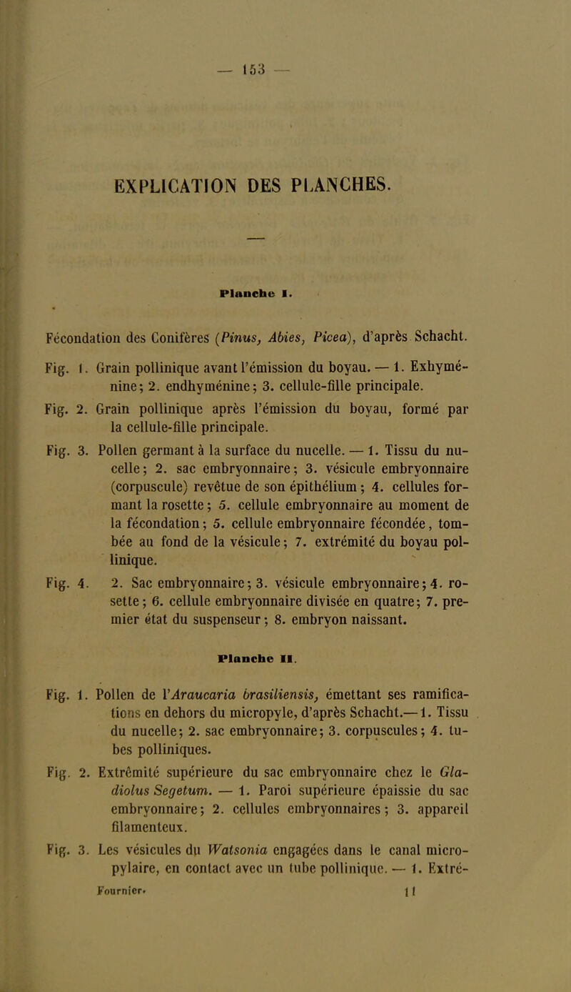 EXPLICATION DES PLANCHES. Planche 1. Fécondation des Conifères (Pinus, Abies, Picea), d'après Schacht. Fig. I. Grain pollinique avant l'émission du boyau. — 1. Exhymé- nine; 2. endhyménine; 3. cellule-fille principale. Fig. 2. Grain pollinique après l'émission du boyau, formé par la cellule-fille principale. Fig. 3. Pollen germant à la surface du nucelle. — 1. Tissu du nu- celle; 2. sac embryonnaire; 3. vésicule embryonnaire (corpuscule) revêtue de son épithélium; 4. cellules for- mant la rosette ; 5. cellule embryonnaire au moment de la fécondation ; 5. cellule embryonnaire fécondée, tom- bée au fond de la vésicule ; 7. extrémité du boyau pol- linique. Fig. 4. 2. Sac embryonnaire; 3. vésicule embryonnaire ; 4. ro- sette ; 6. cellule embryonnaire divisée en quatre; 7. pre- mier état du suspenseur ; 8. embryon naissant. Planche II. Fig. 1. Pollen de l'Araucaria brasiliensis, émettant ses ramifica- tions en dehors du micropyle, d'après Schacht.— 1. Tissu du nucelle; 2. sac embryonnaire; 3. corpuscules; 4. tu- bes polliniques. Fig. 2. Extrémité supérieure du sac embryonnaire chez le Gla- diolus Segetum. — 1. Paroi supérieure épaissie du sac embryonnaire; 2. cellules embryonnaires; 3. appareil filamenteux. Fig. 3. Les vésicules du Watsonia engagées dans le canal micro- pylaire, en contact avec un tube pollinique. — 1. Extré- Fournier» \ f