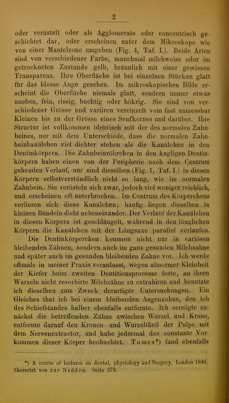 oder vei-tästelt oder als Agglomerate oder conceutriscb ge- schichtet dar, oder erscheinen unter dem Mikroskope wie von einer Mantelzone umgeben (Fig. 4, Taf. L). Beide Arten sind von verschiedener Farbe, manchmal milchweiss oder im getrockneten Zustande gelb, bräunlich mit einer gewissen Transparenz. Ihre Oberfläche ist bei einzelnen Stücken glatt für das blosse Auge gesehen. Im mikroskopischen Bilde er- scheint die Oberfläche niemals glatt, sondern immer etwas uneben, fein, rissig, buchtig oder hökrig. Sie sind von ver- schiedener Grösse und variiren vereinzelt vom fast uiimessbar Kleinen bis zu der Grösse eines Senfkornes und darüber. Ihre Structur. ist vollkommen identisch mit der des normalen Zahn- beines, nur mit dem Unterschiede, dass die normalen Zahn- beinkanälchen viel dichter stehen als die Kanälchen in den Dentinkörpern. Die Zahnbeinröhrchen in den kugligen Dentin- körperu haben einen von der Peripherie nach dem Ceutrum gehenden Verlauf, nur sind dieselben (Fig. 1, Taf. I.) in diesen Körpern selbstverständlich nicht so lang, wie im normalen Zahnbein. Sie verästeln sich zwar, jedoch viel weniger reichlich, und erscheinen oft unterbroehen. Im Centrum des Körperchens verlieren sich diese Kanälchen, häutig liegen dieselben in kleinen Bündeln dicht nebeneinander. Der Verlauf der Kanälchen in diesen Körpern ist geschlängelt, während in den länglichen Körpern die Kanälchen mit der Längsaxe parallel verlaufen. Die Dentinkörperchen kommen nicht nur in cariösen bleibenden Zähnen, sondern auch im ganz gesunden Milchzahne und später auch im gesunden bleibenden Zahne vor. Ich werde oftmals in meiner Praxis veranlasst, wegen abnormer Kleinheit der Kiefer beim zweiten Dentitionsprocesse feste, an ihren Wurzeln nicht resorbirte Milchzähne zu extrahiren und benutzte ich dieselben zum Zweck derartiger Untersuchungen. Ein Gleiches that ich bei einem bleibenden Augenzahne, den ich des Schiefstandes halber ebenfalls entfernte, tch zersägte zu- nächst die betreffenden Zähne zwischen Wurzel und Krone, entfernte darauf den Kronen- und Wurzeltheil der Pulpe mit dem Nervenextractor, und habe jedesmal das coustante Vor- kommen dieser Körper beobachtet. Tomes*) fand ebenfalls *) A course of lectures on dental, physiology and Surgery, London 1848, übersetzt von zur Nedden. Seite 279.