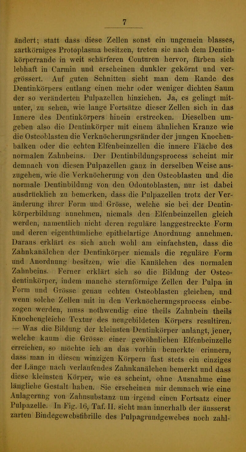 ändert 5 statt dass diese Zellen sonst ein ungemein blasses, zartkörniges Protoplasma besitzen, treten sie nach dem Dentin- körperrande in weit schärferen Conturen hervor, färben sich lebhaft in Carmin und erscheinen dunkler gekörnt und ver- grössert. Auf guten Schnitten sieht man dem Rande des Dentinkörpers entlang einen mehr oder weniger dichten Saum der so veränderten Pulpazellen hinziehen. Ja, es gelingt mit- unter, zu sehen, wie lange Fortsätze dieser Zellen sich in das Innere des Dentinkörpers hinein erstrecken. Dieselben um- geben also die Dentinkörper mit einem ähnlichen Kranze wie die Osteoblasten die Verknöcherungsränder der jungen Knochen- balken oder die echten Elfenbeinzellen die innere Fläche des normalen Zahnbeins. Der Dentinbildungsprocess scheint mir demnach von diesen Pulpazellen ganz in derselben Weise aus- zugehen, wie die Verknöcherung von den Osteoblasten und die normale Dentinbildung von den Odontoblasten, nur ist dabei ausdrücklich zu bemerken, dass die Pulpazellen trotz der Ver- änderung ihrer Form und Grösse, welche sie bei der Dentin- körperbildung annehmen, niemals den Elfenbeinzellen gleich werden, namentlich nicht deren reguläre langgestreckte Form und deren eigenthiimliche epithelartige Anordnung annehmen. Daraus erklärt es sich auch wohl am einfachsten, dass die Zahnkanälchen der Dentinkör])er niemals die reguläre Form und Anordnung besitzen, wie die Kanälchen des normalen Zahnbeins. Ferner erklärt sich so die Bildung der Osteo- dentinkörper, indem manche sternförmige Zellen der Pulpa in Form und Grösse genau echten Osteoblasten gleichen, und wenn solche Zellen mit in den Verknöcherungsprocess einbe- zogen werden, muss nothwendig eine theils Zahnbein theils Knochengleiche Textur des neugebildeten Körpers resultiren. Was die Bildung der kleinsten Dentinkörper anlangt, jener, welche kaum die Grösse einer gewöhnlichen Elfenbeinzelle erreichen, so möchte ich an das vorhin bemerkte erinnern, dass man in diesen winzigen Körpern fast stets ein einziges der Länge nach verlaufendes Zahnkanälchen bemerkt und dass diese kleinsten Körper, wie es scheint, ohne Ausnahme eine längliche Gestalt haben. Sie erscheinen mir demnach wie eine Anlageiung von Zahnsubstanz um irgend einen Fortsatz einer Pulpazelle. In Fig. 16, Taf. II. sieht man innerhalb der äusserst zarten Bindegewcbstibrille des Pulpagrundgewebes noch zahl-