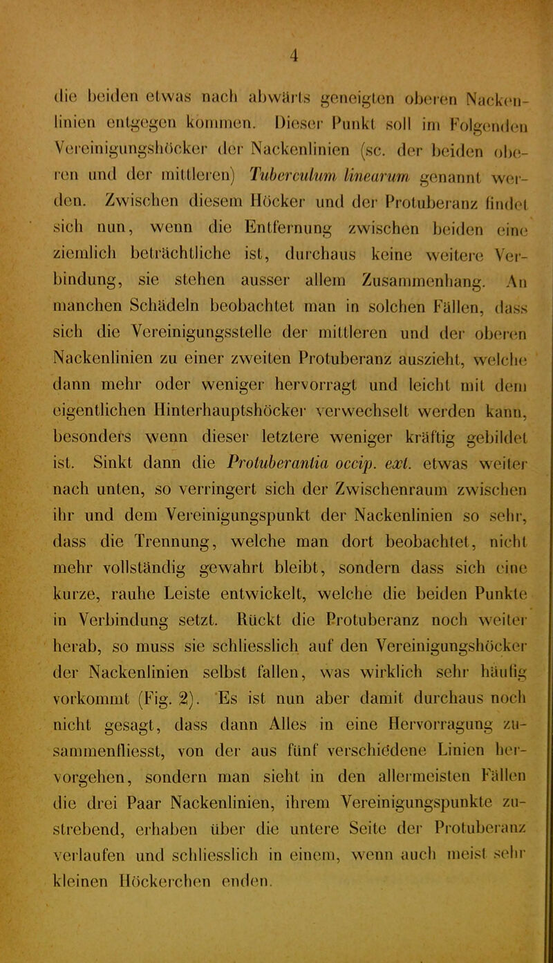 die beiden etwas nacl» ahwüi-ls geneigten oberen Nackcn- linien entgegen kommen. Dieser Punkt soll im Folgenden Vereinigungsliöcker der Nackenlinien (sc. der beiden obe- len und der mittleren) Tuberculum linearum genannt wer- den. Zwischen diesem Höcker und der Protuberanz findet sich nun, wenn die Entfernung zwischen beiden eine ziemlich betriichtliche ist, durchaus keine weitere Vei- bindung, sie stehen ausser allem Zusammenhang. An manchen Schädeln beobachtet man in solchen Fällen, dass sich die Vereinigungsstelle der mittleren und der ohenm Nackenlinien zu einer zweiten Protuberanz auszieht, welche dann mehr oder weniger hervorragt und leicht mit d(;m eigentlichen Hinlerhauptshöcker verwechselt werden kann, besonders wenn dieser letztere weniger kräftig gebildet ist. Sinkt dann die Protuberaniia occip. exl. etwas weiter nach unten, so verringert sich der Zwischenraum zwischen ihr und dem Vereinigungspunkt der Nackenlinien so sein-, dass die Trennung, welche man dort beobachtet, nicht mehr vollständig gewahrt bleibt, sondern dass sich eine kurze, rauhe Leiste entwickelt, welche die beiden Punkte; in Verbindung setzt. Rückt die Protuberanz noch weiter herab, so muss sie schliesslich auf den Vereinigungshöckel' der Nackenlinien selbst fallen, was wirklich sehr häufig vorkommt (Fig. 2). Es ist nun aber damit durchaus noch nicht gesagt, dass dann Alles in eine Hervorragung zu- sammentliesst, von der aus fünf verschiödene Linien her- vorgehen, sondern man sieht in den allermeisten Fällen die drei Paar Nackenlinien, ihrem Vereinigungspunkte zu- strebend, erhaben über die untere Seite der Protuberanz verlaufen und schliesslich in einem, wenn auch meist sehr kleinen Höckerchen end(Mi.