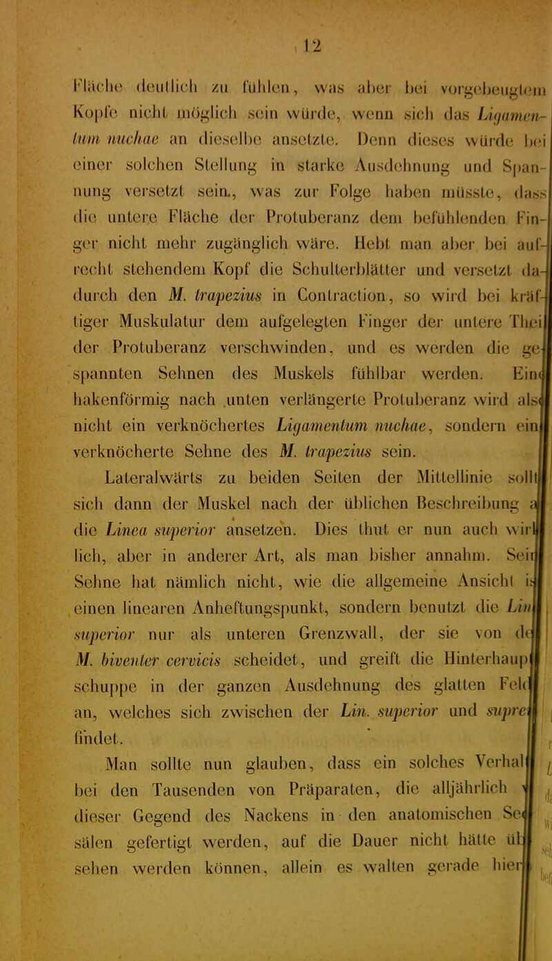 Flache deullicli zn tülilcu, was aher bei vorgcljeuglcni Kopfe nicht inöü,licli sein vvüi'de, wenn sicli das Lüjamen- liim nuchae an dieselbe ansetzte. Denn dieses vvüide ij(M einer solchen Stellung in starke Ausd(ihnung und Sj)an nung versetzt sein., was zur Folge haben müsste, dass die untere Flüche der Protuberanz dem befühlenden Fin- ger nicht mehr zuglinglich wäre. Hebt man aber bei au recht stehendem Kopf die Schulterblätter und versetzt da durch den M. trapezim in Contraction, so wird bei kräf tiger Muskulatur dem aufgelegten Finger der untere Thei der Protuberanz verschwinden, und es werden die ge spannten Sehnen des Muskels fühlbar werden. Ein hakenförmig nach unten verlängerte Protubei anz wird als nicht ein verknöchertes Ligamentum nuchae^ sondein ein verknöcherte Sehne des M. irapezius sein. Lateralwärts zu beiden Seiten der Mittellinie sollt sich dann der Muskel nach der üblichen Beschreibung i die Linea superior ansetzen. Dies thut er nun auch wii lieh, aber in anderer Art, als man bisher annahm. Seil Sehne hat nämlich nicht, wie die allgemeine iVnsichl i einen linearen Anheftungspunkt, sondern benutzt die Lin superior nur als unteren Grenzwall, der sie von d( M. bivenler cervicis scheidet, und greift die Hinterhau|) schuppe in der ganzen Ausdehnung des glatten Feh an, welches sich zwischen der Lin. superior und supre findet. Man sollte nun glauben, dass ein solches Verha bei den Tausenden von Präparaten, die alljährlich dieser Gegend des Nackens in den anatomischen Sc Sälen gefertigt werden, auf die Dauer nicht hätte ül sehen werden können, allein es walten gerade hier