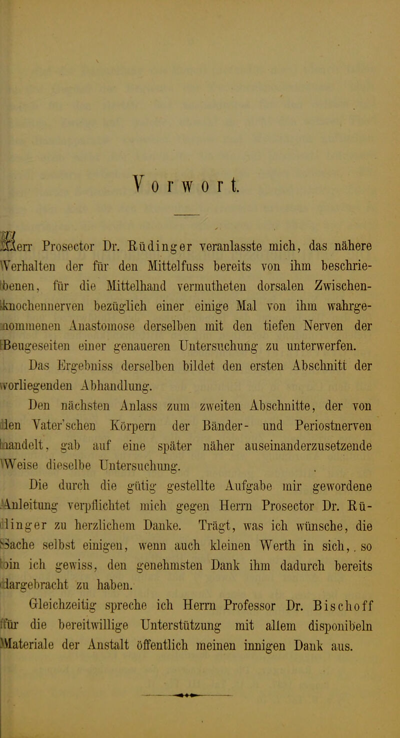 Vorwort. Merr Prosector Dr. Rüdinger veranlasste mich, das nähere ^Verhalten der für den Mittelfuss bereits von ihm beschrie- tbenen, ihr die Mittelhand vermntheten dorsalen Zwischen- kknochennerven bezügdich einer einige Mal von ihm wahi'ge- mommenen Anastomose derselben mit den tiefen Nerven der !Beugeseiten einer genaueren Untersnchiing zu unterwerfen. Das Ergebniss derselben bildet den ersten Abschnitt der worliegenden Abhandlung. Den Ucächsten Anlass zum zweiten Abschnitte, der von iden Vater’sehen Köi’pern der Bänder- und Periostnerven baandelt, gab auf eine später näher auseinanderzusetzende ^Weise dieselbe Untersuchimg. Die durch die gütig gestellte Aufgabe mir gewordene .Anleitung veiijilichtet mich gegen Herrn Prosector Dr. Rü- i'linger zu herzlichem Danke. Trägt, was ich wünsche, die l^^ache selbst einigen, wenn auch kleinen Werth in sich,, so toin ich gewiss, den genehmsten Dank ihm dadurch bereits dargebracht zu haben. Gleichzeitig spreche ich Herrn Professor Dr. Bischoff ffüi’ die bereitwillige Unterstützung mit allem disponibeln yviateriale der Anstalt öffentlich meinen innigen Dank aus.