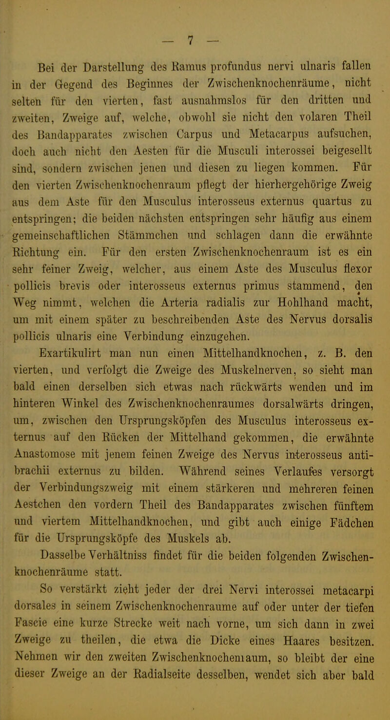 Bei der Darstellung des Kamus profundus nervi ulnaris fallen in der Gegend des Beginnes der Zwischenknochenräume, nicht selten für den vierten, fast ausnahmslos für den dritten und zweiten, Zweige auf, welche, obwohl sie nicht den volaren Theil des Bandapparates zwischen Carpus und Metacarpus aufsuchen, doch auch nicht den Aesten für die Musculi interossei beigesellt sind, sondern zwischen jenen und diesen zu liegen kommen. Für den vierten Zwischenknochenraum pflegt der hierhergehörige Zweig aus dem Aste für den Musculus interosseus externus quartus zu entspringen; die beiden nächsten entspringen sehr häuflg aus einem gemeinschaftlichen Stämmchen und schlagen dann die erwähnte Richtung ein. Für den ersten Zwischenknochenraum ist es ein sehr feiner Zweig, welcher, aus einem Aste des Musculus flexor pollicis brevis oder interosseus externus primus stammend, den Weg nimmt, welchen die Arteria radialis zur Hohlhand macht, um mit einem später zu beschreibenden Aste des Nervus dorsalis pollicis ulnaris eine Verbindung einzugehen. Exartikulirt man nun einen Mittelhandknochen, z. B. den vierten, und verfolgt die Zweige des Muskelnerven, so sieht man t bald einen derselben sich etwas nach rückwärts wenden und im hinteren Winkel des Zwischenknochenraumes dorsalwärts dringen, um, zwischen den Ursprungsköpfen des Musculus interosseus ex- ternus auf den Rücken der Mittelhand gekommen, die erwähnte Anastomose mit jenem feinen Zweige des Nervus interosseus anti- brachii externus zu bilden. Während seines Verlaufes versorgt der Verbindungszweig mit einem stärkeren und mehreren feinen Aestchen den vordem Theil des Bandapparates zwischen fünftem und viertem Mittelhandknochen, und gibt auch einige Fädchen für die Ursprungsköpfe des Muskels ab. Dasselbe Verhältniss findet für die beiden folgenden Zwischen- knochenräume statt. So verstärkt zieht jeder der drei Nervi interossei metacarpi dorsales in seinem Zwischenknochenräume auf oder unter der tiefen Fascie eine kurze Strecke weit nach vorne, um sich dann in zwei Zweige zu theilen, die etwa die Dicke eines Haares besitzen. Nehmen wir den zweiten Zwischenknocheniaum, so bleibt der eine dieser Zweige an der Radialseite desselben, wendet sich aber bald