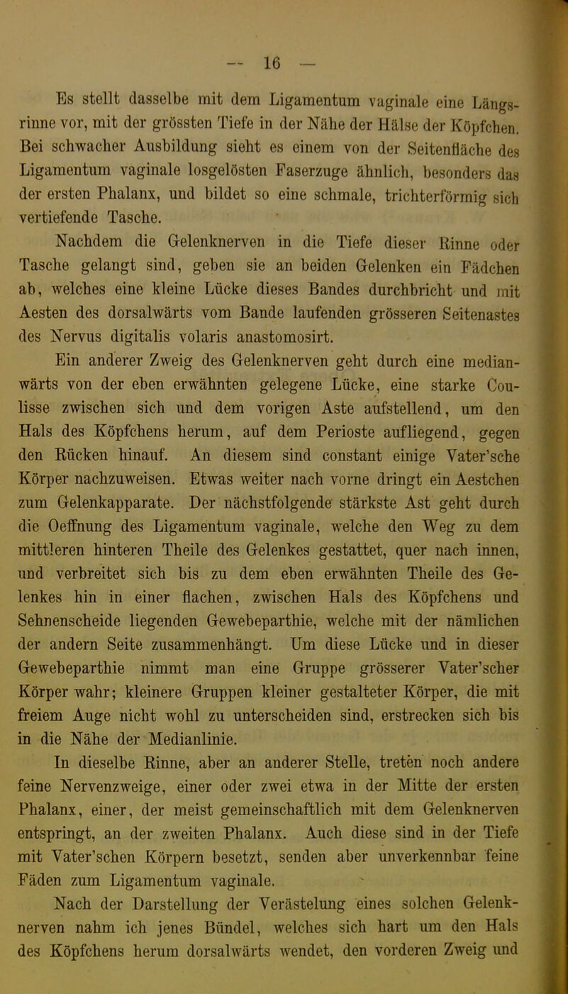 1 Es stellt dasselbe mit dem Ligamentum vaginale eine Längs- rinne vor, mit der grössten Tiefe in der Nähe der Hälse der Köpfchen. Bei schwacher Ausbildung sieht es einem von der Seitenfläche des Ligamentum vaginale losgelösten Faserzuge ähnlich, besonders das der ersten Phalanx, und bildet so eine schmale, trichterförmig sich vertiefende Tasche. Nachdem die Gelenknerven in die Tiefe dieser Rinne oder Tasche gelangt sind, geben sie an beiden Gelenken ein Rädchen ab, welches eine kleine Lücke dieses Bandes durchbricht und mit Aesten des dorsalwärts vom Bande laufenden grösseren Seitenastes des Nervus digitalis volaris anastomosirt. Ein anderer Zweig des Gelenknerven geht durch eine median- wärts von der eben erwähnten gelegene Lücke, eine starke Cou- lisse zwischen sich und dem vorigen Aste aufstellend, um den Hals des Köpfchens herum, auf dem Perioste aufliegend, gegen den Rücken hinauf. An diesem sind constant einige Vater’sche Körper nachzuweisen. Etwas weiter nach vorne dringt ein Aestchen zum Gelenkapparate. Der nächstfolgende'stärkste Ast geht durch die Oeffnung des Ligamentum vaginale, welche den Weg zu dem mittleren hinteren Theile des Gelenkes gestattet, quer nach innen, und verbreitet sich bis zu dem eben erwähnten Theile des Ge- lenkes hin in einer flachen, zwischen Hals des Köpfchens und Sehnenscheide liegenden Gewebeparthie, welche mit der nämlichen der andern Seite zusammenhängt. Um diese Lücke und in dieser Gewebeparthie nimmt man eine Gruppe grösserer Vater’scher Körper wahr; kleinere Gruppen kleiner gestalteter Körper, die mit freiem Auge nicht wohl zu unterscheiden sind, erstrecken sich bis in die Nähe der Medianlinie. In dieselbe Rinne, aber an anderer Stelle, treten noch andere feine Nervenzweige, einer oder zwei etwa in der Mitte der ersten Phalanx, einer, der meist gemeinschaftlich mit dem Gelenknerven entspringt, an der zweiten Phalanx. Auch diese sind in der Tiefe mit Vater’schen Körpern besetzt, senden aber unverkennbar feine Fäden zum Ligamentum vaginale. Nach der Darstellung der Verästelung eines solchen Gelenk- nerven nahm ich jenes Bündel, welches sich hart um den Hals des Köpfchens herum dorsalwärts wendet, den vorderen Zweig und ( ■i.1