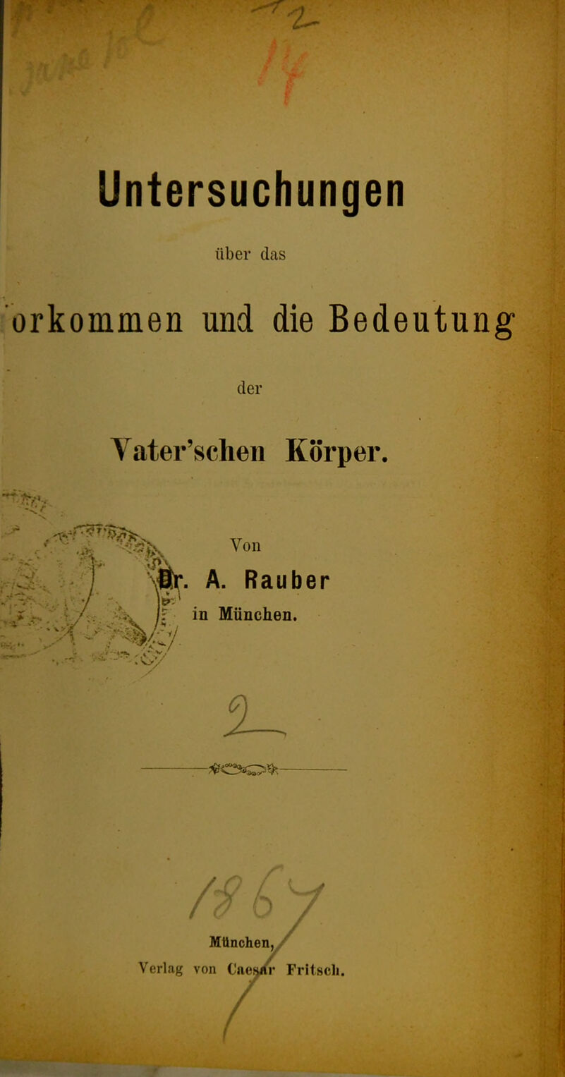 Untersuchungen über das orkommen und die Bedeutung- der Vater'scheii Körper. Von / w. A. Rauber j: in München. München, Verlag von Caesiu* Fritsch.