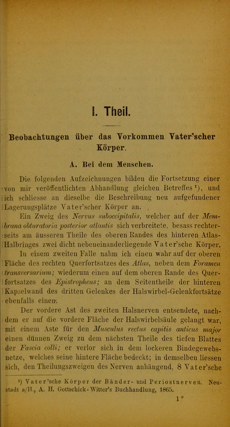 I. Theil Beobachtungen über das Vorkommen Vater'sclier Körper. A. Bei dem Menschen. Die folgenden Aufzeichnungen bilden die Fortsetzung einer ^von mir veröfl'entlichten Abhandlung gleichen Betreffes*), und iich schliesse an dieselbe die Beschreibung neu aufgefundener «Lagerungsplätze Vater'scher Körper an. . Ein Zweig des Nervus siiboccipitalis, welcher auf der 3Iem- ih'ana oUiiratoria posterior atlantis sich verbreitete, besass rechter- •seits am äusseren Tlieile des oberen Randes des hinteren Atlas- Halbringes zwei dicht nebeneinanderliegende Vater'sche Körper. In einem zweiten Falle nahm ich einen wahr auf der oberen ! Fläche des rechten Querfortsatzes des Atlas, neben dem Foramen i transversarium; wiederum einen auf dem oberen Rande des Quer- Ifortsatzes des Epistropheus; an dem Seitentheile der hinteren Kapoelwand des dritten Gelenkes der Halswirbel-Gelenkfortsätze ebenfalls einem Der vordere Ast des zweiten Halsnerven entsendete, nach- dem er auf die vordere Fläche der Halswirbelsäule gelangt war, mit einem Aste für den Musculus rectus capitis anticus major einen dünnen Zweig zu dem nächsten Theile des tiefen Blattes der Fascia colli; er verlor sich in dem lockeren Bindegewebs- netze, welches seine hintere Fläche bedeckt; in demselben Hessen sich, den Theilungszweigen des Nerven anhängend, 8 Vater'sche 1) Vater'sche Körper der Bänder- und Periostnerveri. Neu- stadt a/lT., A. H. Gottschick-Witter's Buchhandlung, 1865, 1*