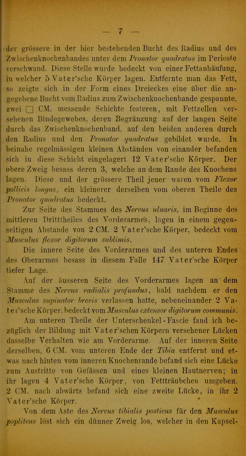 ider grössere in der hier bestehenden Bucht des Radius und des Zwischenknochenbandes unter dem Pronator qiiadrattis im Periosie verschwand. Diese Stelle wurde bedeckt von einer Fettanhäufung, in welcher öVater'sche Köri)er lagen. Entfernte man das Fett, so zeigte sich in der Form eines Dreieckes eine über die an- gegebene Bucht vom Radius zum Zwischenknochenbande gespannte, zwei □ CM. messende Schichte festeren, mit Fettzellen ver- sehenen Bindegewebes, deren Begränzung auf der langen Seite durch das Zwischenknochenband, auf den beiden anderen durch den Radius und den Pronator quadratus gebildet wurde. In beinahe regelmässigen kleinen Abständen von einander befanden sich in diese Schicht eingelagert 12 Vater'sche Körper. Der obere Zweig besass deren 3, welche an dem Rande des Knochens lagen. Diese und der grössere Theil jener waren vom Flexor poUicis longus, ein kleinerer derselben vom oberen Theile des Froncdor quadratus bedeckt. Zur Seite des Stammes des Nervus idnaris, im Beginne des mittleren Dritttheiles des Vorderarmes, lagen in einem gegen- seitigen Abstände von 2 CM. 2 Vater'sche Körper, bedeckt vom Musculus flexor digitorum sublimis. Die innere Seite des Vorderarmes und des unteren Endes des Oberarmes besass in diesem Falle 147 Vater'sche Körper tiefer Lage. Auf der äusseren Seite des Vorderarmes lagen an' dem Stamme des Nervus radialis profundus, bald nachdem er den Musculus supinator hrevis verlassen hatte, nebeneinander 2 Va- t e r'sche Körper, bedeckt \omMusctdiis extetisor digitorum communis. Am unteren Theile der Unterschenkel-Fascie fand ich be- züglich der Bildung mit Vater'schen Körpern versehener Lücken dasselbe Verhalten wie am Vorderarme. Auf der inneren Seite derselben, 6 CM. vom unteren Ende der Tihia entfernt und et- was nach hinten vom inneren Knochenrande befand sich eine Lücke zum Austritte von Gefässen und eines kleinen Hautnerven; in ihr lagen 4 Vater'sche Körper, von Fettträubchen umgeben. 2 CM. nach abwärts befand sich eine zweite Lücke, in ihr 2 Vater'sche Körper. Von dem Aste des Nervus tibialis posticus für den Musculus popliteus löst sich ein dünner Zweig los, welcher in den Kapsel-