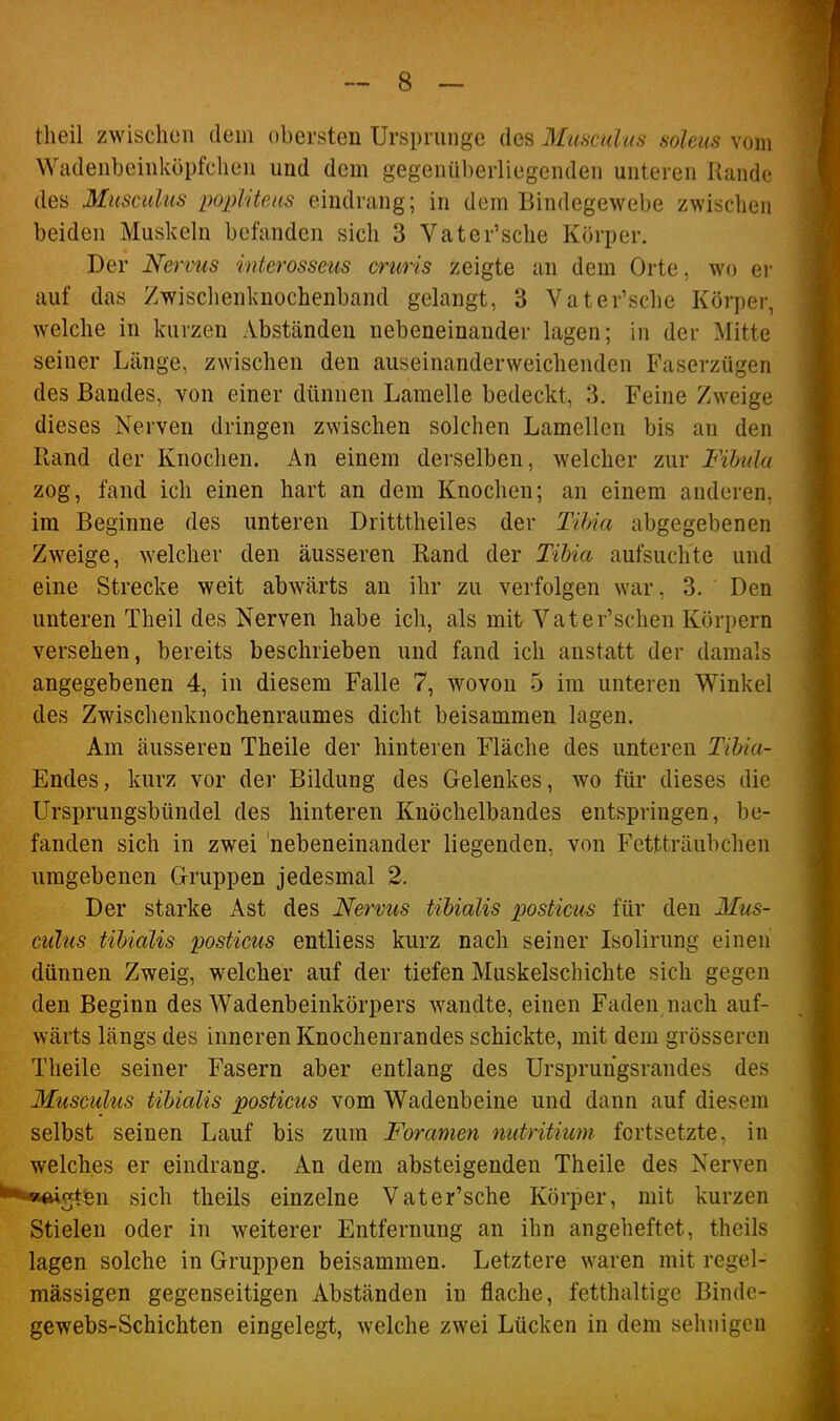 theil zwischen dein obersten Ursprünge des Musculus soleus vom Wadenbeinköpfclieu und dem gegenül)erliegenden unteren Rande des Musculus poxMteas eindrang; in dem Bindegewebe zwischen beiden Muskeln befanden sich 3 Vater'sche Körper. Der Nervus interosseus cruris zeigte an dem Orte, wo er auf das Zwischenknochenband gelangt, 3 Vater'sche Körper, welche in kurzen Abständen nebeneinander lagen; in der Mitte seiner Länge, zwischen den auseinanderweichenden Faserzügen des Bandes, von einer dünnen Lamelle bedeckt, 3. Feine Zweige dieses Nerven dringen zwischen solchen Lamellen bis an den Rand der Knochen. An einem derselben, welcher zur Fibula zog, fand ich einen hart an dem Knochen; an einem anderen, im Beginne des unteren Dritttheiles der Tihia abgegebenen Zweige, welcher den äusseren Rand der Tibia aufsuchte und eine Strecke weit abwärts an ihr zu verfolgen war, 3. Den unteren Theil des Nerven habe ich, als mit Vater'schen Körpern versehen, bereits beschrieben und fand ich anstatt der damals angegebenen 4, in diesem Falle 7, wovon 5 im unteren Winkel des Zwischenknochenraumes dicht beisammen lagen. Am äusseren Theile der hinteren Fläche des unteren Tibia- Endes, kurz vor der Bildung des Gelenkes, wo für dieses die Ursprungsbündel des hinteren Knöchelbandes entspringen, be- fanden sich in zwei 'nebeneinander liegenden, von Fettträubchen umgebenen Gruppen jedesmal 2. Der starke Ast des Nervus tibialis posticus für den Mus- cultis tibialis posticus entliess kurz nach seiner Isolirung einen dünnen Zweig, welcher auf der tiefen Muskelschichte sich gegen den Beginn des Wadenbeinkörpers wandte, einen Faden nach auf- wärts längs des inneren Knochenrandes schickte, mit dem grösseren Theile seiner Fasern aber entlang des Ursprungsrandes des Musculus tibialis posticus vom Wadenbeine und dann auf diesem selbst seinen Lauf bis zum Foramen nutritium fortsetzte, in welches er eindrang. An dem absteigenden Theile des Nerven ^•»««igt^en sich theils einzelne Vater'sche Körper, mit kurzen Stielen oder in weiterer Entfernung an ihn angeheftet, theils lagen solche in Gruppen beisammen. Letztere waren mit regel- mässigen gegenseitigen Abständen in flache, fetthaltige Bindc- gewebs-Schichten eingelegt, welche zwei Lücken in dem sehnigen