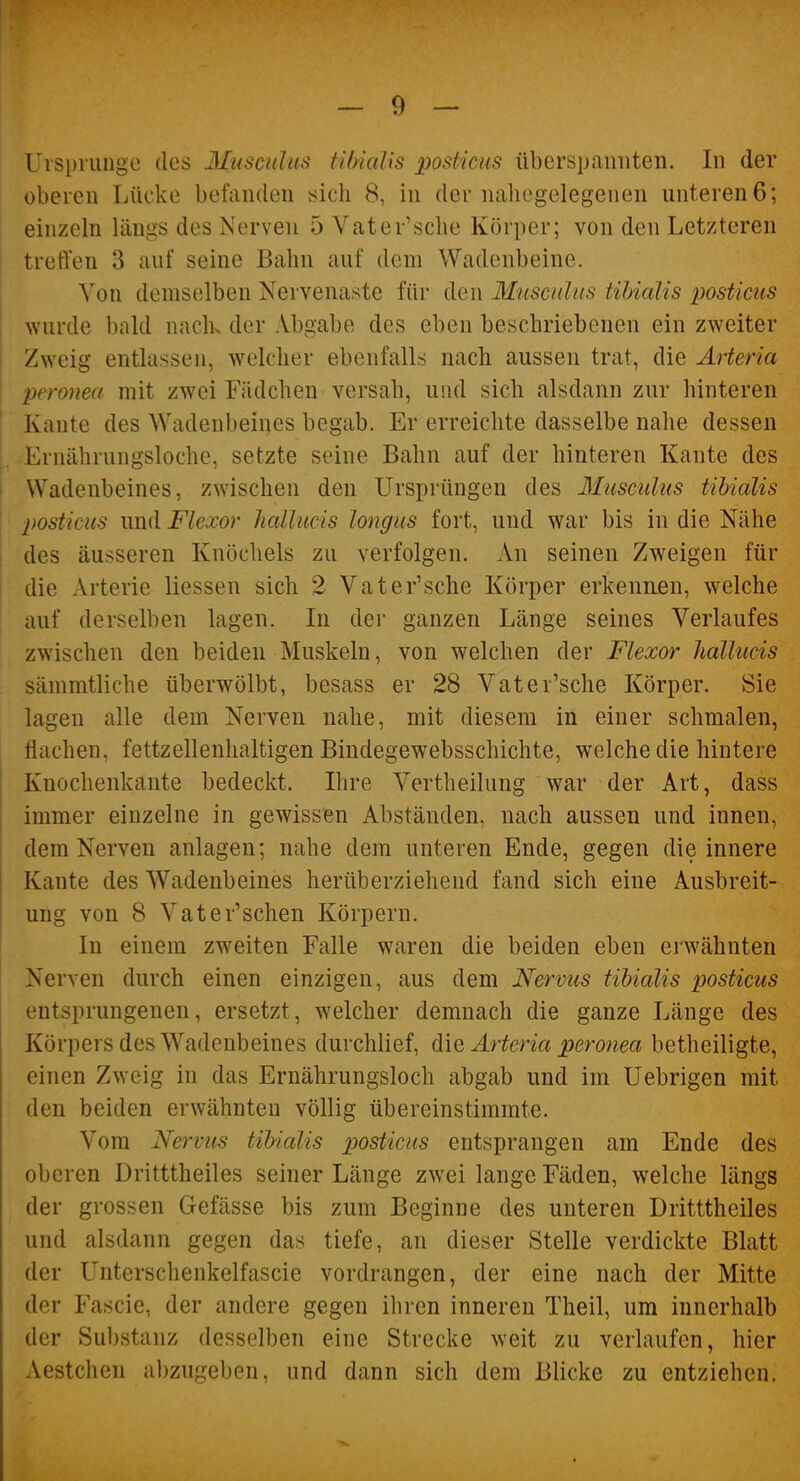 Uispiiuigc lies Musculus fiOialis posticus überspannten. In der oberen Lücke befanden sich 8, in der nahegelegenen unteren 6; einzeln längs des Nerven 5 Vater'sche Körper; von den Letzteren tretien 3 auf seine Bahn auf dem Wadenbeine. Von demselben Nervenaste für den Musculus tibialis posticus wurde bald nack der Abgabe des eben beschriebenen ein zweiter Zweig entlassen, welcher ebenfalls nach aussen trat, die Arteria peronea mit zwei Fädchen versah, und sich alsdann zur hinteren Kaute des Wadenbeines begab. Er erreichte dasselbe nahe dessen Ernährungsloche, setzte seine Bahn auf der hinteren Kante des Wadenbeines, zwischen den Ursprüngen des Muscuhis tibialis posticus und Flexor Jiallucis longus fort, und war bis in die Nähe des äusseren Knöchels zu verfolgen. An seinen Zweigen für die Arterie Hessen sich 2 Vater'sche Körper erkenn.en, welche auf derselben lagen. In der ganzen Länge seines Verlaufes zwischen den beiden Muskeln, von welchen der Flexor hallucis sämmtliche überwölbt, besass er 28 Vater'sche Körper. Sie lagen alle dem Nerven nahe, mit diesem in einer schmalen, flachen, fettzellenhaltigen Bindegewebsschichte, welche die hintere Knochenkante bedeckt. Ihre Vertheilung war der Art, dass immer einzelne in gewissen Abständen, nach aussen und innen, dem Nerven anlagen; nahe dem unteren Ende, gegen die innere Kante des Wadenbeines herüberziehend fand sich eine Ausbreit- ung von 8 Vater'sehen Körpern. In einem zweiten Falle waren die beiden eben erwähnten Nerven durch einen einzigen, aus dem Nervus tibialis posticus entsprungenen, ersetzt, welcher demnach die ganze Länge des Körpers des Wadenbeines durchlief, die Ärteria pero7iea betheiligte, einen Zweig in das Ernährungsloch abgab und im Uebrigen mit den beiden erwähnten völlig übereinstimmte. Vom Nervus tibialis posticus entsprangen am Ende des oberen Dritttheiles seiner Länge zwei lange Fäden, welche längs der grossen Gefässe bis zum Beginne des unteren Dritttheiles und alsdann gegen das tiefe, an dieser Stelle verdickte Blatt der Unterschenkelfascie vordrangen, der eine nach der Mitte der Fascie, der andere gegen ihren inneren Theil, um innerhalb der Substanz desselben eine Strecke weit zu verlaufen, hier Aestchen abzugeben, und dann sich dem Blicke zu entziehen.