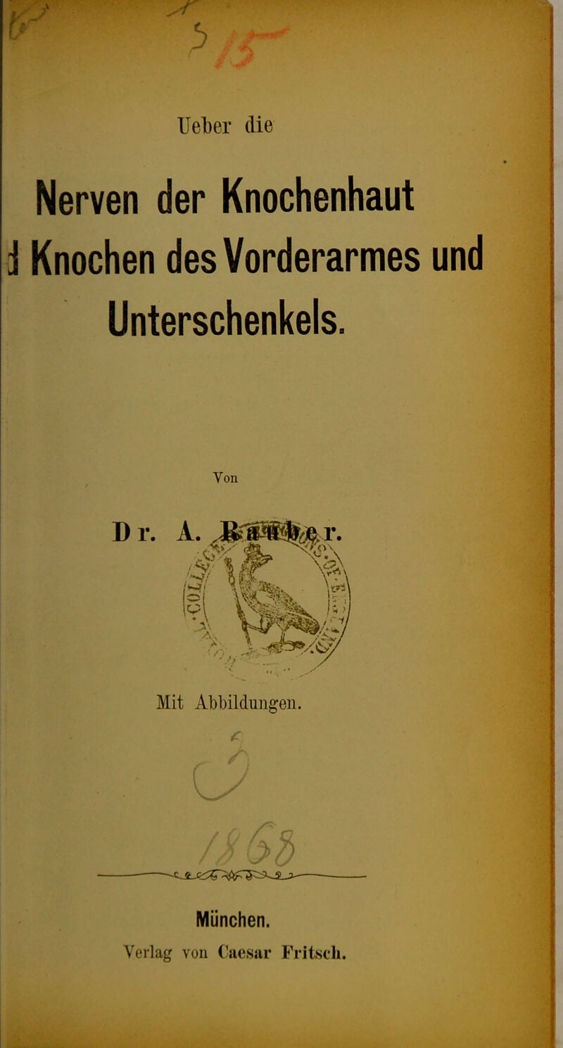 lieber die Nerven der Knochenhaut J Knochen des Vorderarmes und Unterschenkels. Von Mit Abbildungen. München. Verlag von Caesar Fritsch.