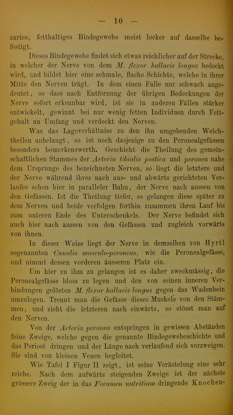 zartes, fetthaltiges Bindegewebe meist locker auf dasselbe be- festigt. Dieses Bindegewebe findet sich etwas reichlicher auf der Strecke, in welcher der Nerve von dem 31. flexor Jiallucis lofirjus bedeckt wird, i;nd bildet hier eine schmale, flache Schichte, welche in ihrer Mitte den Nerven trägt. In dem einen Falle nur schwach ange- deutet, so dass nach Entfernung der übrigen Bedeckungen der Nerve sofort erkennbar wird, ist sie in anderen Fällen stärker entwickelt, gewinnt bei nur wenig fetten Individuen durch Fett- gehalt an Umfang und verdeckt den Nerven. Was das Lageverhältniss zu den ihn umgebenden Weich- theilen anbelangt, so ist noch dasjenige zu den Peronealgefässen besonders bemerkenswerth. Geschieht die Theilung des gemein- schaftlichen Stammes der Arteria iihialis postica und peronca nahe dem Ursprünge des bezeichneten Nerven, so liegt die letztere und der Nerve während ihres nach aus- und abwärts gerichteten Ver- laufes schon hier in paralleler Bahn, der Nerve nach aussen von den Gefässen. Ist die Theilung tiefer, so gelangen diese später zu dem Nerven und beide verfolgen forthin zusammen ihren Lauf bis zum unteren Ende des Unterschenkels. Der Nerve befindet sich auch hier nach aussen von den Gefässen und zugleich vorwärts von ihnen. In dieser Weise liegt der Nerve in demselben von Hyrtl sogenannten Canalis musculo-peroneus, wie die Peronealgefässe, und nimmt dessen vorderen äusseren Platz ein. Um hier zu ihm zu gelangen ist es daher zweckmässig, die Peronealgefässe bloss zu legen und den von seinen inneren Ver- bindungen gelösten M. ßexor liaUucis longus gegen das Wadenbein umzulegen. Trennt man die Gefässe dieses Muskels von den Stäm- men, und zieht die letzteren nach einwärts, so stösst man auf den Nerven. Von der Arteria peronea entspringen in gewissen Abständen feine Zweige, welche gegen die genannte Bindegewebeschichte und das Periost dringen und der Länge nach verlaufend sich verzweigen. Sie sind von kleinen Venen begleitet. Wie Tafel I Figur II zeigt, ist seine Verästelung eine sehr reiche. Nach dem aufwärts steigenden Zweige ist der nächste grössere Zweig der in das Foramen nutritiim dringende Knochen-