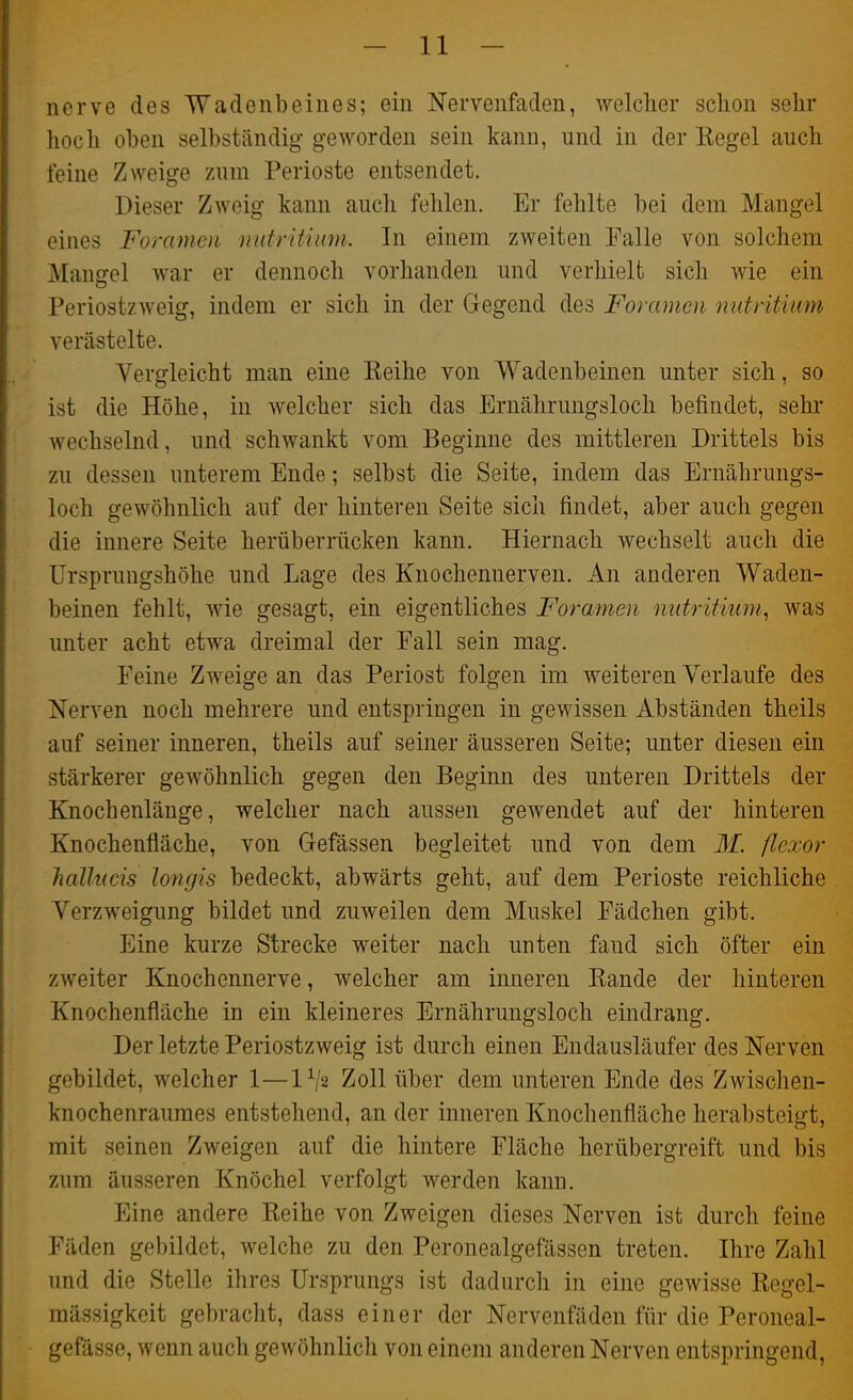 nerve des Wadenbeines; ein Nervenfaden, welcher schon sehr hoch oben selbständig geworden sein kann, und in der Eegel auch feine Zweige zum Perioste entsendet. Dieser Zweig kann auch fehlen. Er fehlte bei dem Mangel eines Foramen mitrititim. In einem zweiten Falle von solchem Mangel war er dennoch vorhanden und verhielt sich wie ein Periostzweig, indem er sich in der Gegend des Foramen nutritium verästelte. Vergleicht man eine Keihe von Wadenbeinen unter sich, so ist die Höhe, in welcher sich das Ernährungsloch befindet, sehr wechselnd, und schwankt vom Beginne des mittleren Drittels bis zu dessen unterem Ende; selbst die Seite, indem das Ernährungs- loch gewöhnlich auf der hinteren Seite sich findet, aber auch gegen die innere Seite herüberrücken kann. Hiernach wechselt auch die Ursprungshöhe und Lage des Knochennerven. An anderen Waden- beinen fehlt, wie gesagt, ein eigentliches Foramen mitrifmm, was unter acht etwa dreimal der Fall sein mag. Feine Zweige an das Periost folgen im weiteren Yerlaufe des Nerven noch mehrere und entspringen in gewissen Abständen theils auf seiner inneren, theils auf seiner äusseren Seite; unter diesen ein stärkerer gewöhnlich gegen den Beginn des unteren Drittels der Knochenlänge, welcher nach aussen gewendet auf der hinteren Knochenfiäche, von Gefässen begleitet und von dem M. ßexor halhfcis loncjis bedeckt, abwärts geht, auf dem Perioste reichliche Verzweigung bildet und zuweilen dem Muskel Fädchen gibt. Eine kurze Strecke weiter nach unten fand sich öfter ein zweiter Knochennerve, welcher am inneren Kande der hinteren Knochenfläche in ein kleineres Ernährungsloch eindrang. Der letzte Periostzweig ist durch einen Endausläufer des Nerven gebildet, welcher 1—IV2 Zoll über dem unteren Ende des Zwischen- knochenraumes entstehend, an der inneren Knochenfläche herabsteigt, mit seinen Zweigen auf die hintere Fläche herübergreift und bis zum äusseren Knöchel verfolgt werden kann. Eine andere Keihe von Zweigen dieses Nerven ist durch feine Fäden gebildet, welche zu den Peronealgefässen treten. Ihre Zahl und die Stelle ihres Ursprungs ist dadurch in eine gewisse Eegel- mässigkeit gebracht, dass einer der Nervenfäden für die Peroneal- gefässe, wenn auch gewöhnlich von einem anderen Nerven entspringend,