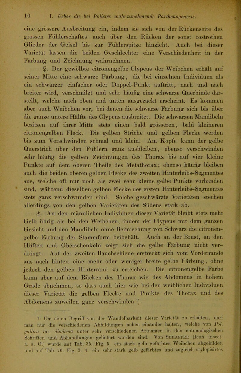 eine grössere Ausbreitung ein, indem sie sich von der liückenseite des grossen Fühlerschaftes auch über den Rücken der sonst rostrothen Glieder der Geisel bis zur Fühlerspitze hinzieht. Auch bei dieser Varietät lassen die beiden Geschlechter eine Verschiedenheit in der Färbung und Zeichnung wahrnehmen. Der gewölbte citronengelbe Clypeus der Weibchen erhält auf seiner Mitte eine schwarze Färbung, die bei einzelnen Individuen als ein schwarzer einfacher oder Doppel-Punkt auftritt, nach und nach breiter wird, verschmilzt und sehr häufig eine schwarze Querbinde dar- stellt, welche nach ohen und unten ausgezackt erscheint. Es kommen aber auch Weibchen vor, bei denen die schAvarze Färbung sich bis über die ganze untere Hälfte des Clypeus ausbreitet. Die sclnvarzen Mandibeln besitzen auf ihrer Mitte stets einen bald grösseren, bald kleineren citronengelben Fleck. Die gelben Striche und gelben Flecke werden bis zum VerscliAvinden schmal und klein. Am Kopfe kann der gelbe Querstrich über den Fühlern ganz ausbleiben, ebenso verschAvinden sehr häufig die gelben Zeichnungen des Thorax bis auf vier kleine Punkte auf dem oberen Theile des Metathorax; ebenso häufig hleiben auch die beiden oberen gelben Flecke des zweiten Hinterleibs-Segmentes aus, Avelche oft nur noch als zwei sehr kleine gelbe Punkte vorhanden sind, Avährend dieselben gelben Flecke des ersten Hinterleibs-Segmentes stets ganz verschAvunden sind. Solche geschAvärzte Varietäten stechen allerdings von den gelben Varietäten des Südens stark ab. S- An den männlichen Individuen dieser Varietät bleibt stets mehr Gelb übrig als bei den Weibchen, indem der Clypeus mit dem ganzen Gesicht und den Mandibeln ohne Beimischung von SchAvarz die citronen- gelbe Färbung der Stammform beibehält. Auch an der Brust, an den Hüften und Oberschenkeln zeigt sich die gelbe Färbung nicht ver- drängt. Auf der zaveiten Bauchschiene erstreckt sich vom Vorderrande aus nach hinten eine mehr oder aveiliger breite gelbe Färbung, ohne jedoch den gelben Hinterrand zu erreichen. Die citronengelbe Farbe kann aber auf dem Rücken des Thorax Avie des Abdomens in hohem Grade abnehmen, so dass auch hier Avie bei den weiblichen Individuen dieser Varietät die gelben Flecke und Punkte des Thorax und des Abdomens zuweilen ganz verschAvinden '). 1) Um einen Begriff von der Wandelbarkeit dieser Varietät zu erhalten, darf man nur die verschiedenen Abbildungen neben einander halten, welche A'on Pol. gallica var. diadema unter sehr verschiedenen Artnamen in den entomologischen Schriften und Abhandlungen geliefert worden sind. Von SciiÄrFEii (Icon, insect. a. a. 0.) wurde auf Tab. .‘15. Fig. 5. ein stark gelb gefärbtes Weibchen abgebildet, und auf Tab. 70. Fig. 3. 4. ein sehr stark gelb gefärbtes und zugleich stylopisirtes