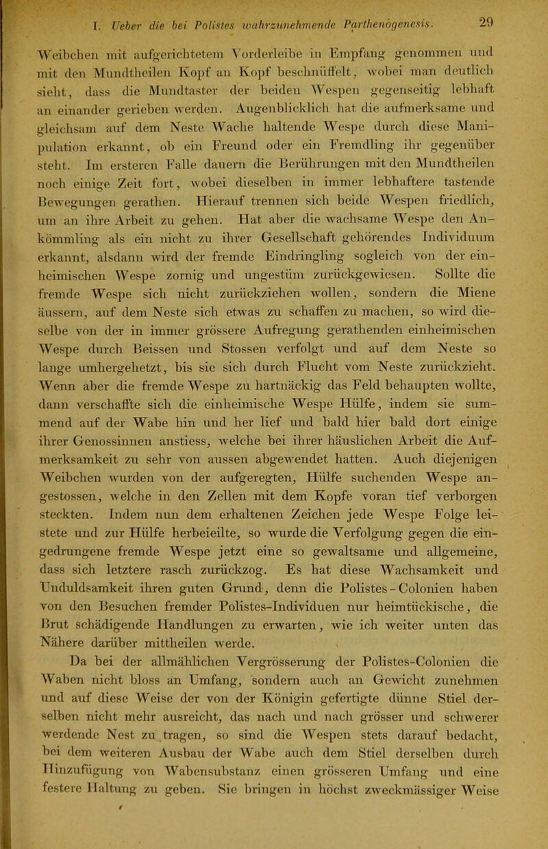 Weibchen mit aufgericlitetem \'orclerleibe in Eni])fang genommen nml mit den Mundtlieilen Kopf an Kopf beschnüffelt, wobei man dentlicb siebt, (lass die Mnndtaster der beiden Wespen gegenseitig lebhaft an einander gerieben werden. Augenblicklich hat die aufmerksame und gleichsam auf dem Neste Wache haltende Wespe durch diese Mani- pulation erkannt, ob ein Freund oder ein Fremdling ihr gegenüber steht. Im ersteren Falle dauern die Berührungen mit den Mundtlieilen noch einio-e Zeit fort, wobei dieselben in immer lebhaftere tastende Bewegungen gerathen. Hierauf trennen sich beide Wespen friedlich, um an ihre Arbeit zu gehen. Hat aber die wachsame Wespe den An- kömmling als ein nicht zu ihrer Gesellschaft gehörendes Individuum erkannt, alsdann wird der fremde Eindringling sogleich von der ein- heimischen Wespe zornig und ungestüm zurückgewiesen. Sollte die fremde Wespe sich nicht zurückziehen wollen, sondern die Miene äussern, auf dem Neste sich etwas zu schaffen zu machen, so wird die- selbe von der in immer grössere Aufregung gerathenden einheimischen Wespe durch Beissen und Stossen verfolgt und auf dem Neste so lange umhergehetzt, bis sie sich durch Flucht vom Neste zurückzieht. Wenn aber die fremde Wespe zu hartnäckig das Feld behaupten wollte, dann verschaffte sich die einheimische Wespe Hülfe, indem sie sum- mend auf der Wabe hin und her lief und bald hier bald dort einige ihrer Genossinnen anstiess, welche bei ihrer häuslichen Arbeit die Auf- merksamkeit zu sehr von aussen abgewendet hatten. Auch diejenigen Weibchen wurden von der aufgeregten. Hülfe suchenden Wespe an- gestossen, welche in den Zellen mit dem Kopfe voran tief verborgen steckten. Indem nun dem erhaltenen Zeichen jede Wespe Folge lei- stete und zur Flülfe herbeieilte, so wurde die Verfolgung gegen die ein- gedrungene fremde Wespe jetzt eine so gewaltsame und allgemeine, dass sich letztere rasch zurückzog. Es hat diese Wachsamkeit und Unduldsamkeit ihren guten Grund, denn die Polistes-Colonien haben von den Besuchen fremder Polistes-Individuen nur heimtückische, die Brut schädigende Handlungen zu erwarten, wie ich weiter unten das Nähere darüber mittheilen werde. > Da bei der allmählichen Vergrösserung der Polistes-Colonien die Waben nicht bloss an Umfang, sondern auch an Gewicht zunehmen und auf diese Weise der von der Königin gefertigte dünne Stiel der- selben nicht mehr ausreicht, das nach und nach grösser und schwerer werdende Nest zii tragen, so sind die Wespen stets darauf bedacht, bei dem weiteren Ausbau der Wabe auch dem Stiel derselben durch Hinzufügung von Wabensubstanz einen grösseren Umfang und eine festere Haltung zu geben. Sie bringen in höchst zweckmässiger Weise