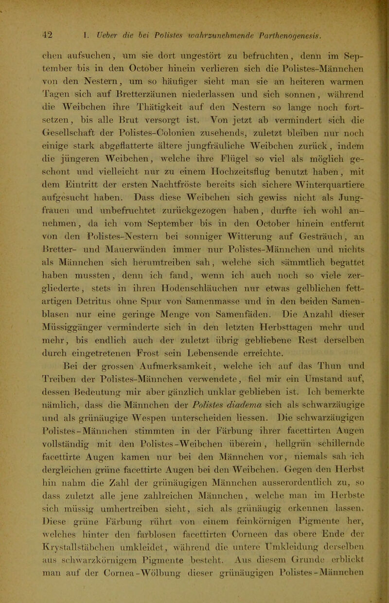 cliou auf such en, um sie dort ungestört zu befrucliten, denn im Se]i- temher bis in den October hinein verlieren sich die Polistes-Männeben von den Nestern, um so häufiger sieht man sie an heiteren warmen Tagen sich auf Bretterzäunen niederlassen und sich sonnen, während die Weibchen ihre Thätigkeit auf den Nestern so lange noch fort- setzen, bis alle Brut versorgt ist. Von jetzt ab vermindert sich die Gesellschaft der Polistes-Colonien zusehends, zuletzt bleiben nur noch einige stark abgeflatterte ältere jungfräuliche Weibchen zurück, indem die jüngeren Weibchen, welche ihre Flügel so viel als möglich ge- schont und vielleicht nur zu einem Itochzeitsflug benutzt haben, mit dem Eintritt der ersten Nachtfröste bereits sich sichere Winterquartiere aufgesucht haben. Dass diese Weibchen sich gewiss nicht als Jung- frauen und unbefruchtet zurückgezogen haben, durfte ich wohl an- nehmen , da ich vom September bis in den October hinein entfernt von den Pohstes-Nestern bei sonniger Witterung auf Gesträuch, an Pretter- und Mauerwänden immer nur Polistes-Männchen und nichts als Männchen sich herumtreihen sah, welche sich sämmtlich begattet liaben mussten, denn ich fand, wenn ich auch noch so viele zer- gliederte , stets in ihren IJodenschläuchen nur etwas gelblichen fett- artigen Detritus ohne Spur von Samenmasse und in den beiden Samen- hlasen nur eine geringe Menge von Samenfäden. Die Anzahl dieser Müssiggänger verminderte sich in den letzten Herbsttagen mehr und mehr, bis endlich auch der zuletzt übrig gebliebene Rest derselben durch eingetretenen Frost sein Lebensende erreichte. Bei der grossen Aufmerksamkeit, welche ich auf das Thun und Treiben der Polistes-Männchen venvendete, fiel mir ein Umstand auf, dessen Bedeutung mir aber gänzlich unklar geblieben ist. Ich bemerkte nämlich, dass die Männchen der Polistes diadema sich als schwarzäugige und als grünäugige AVespen unterscheiden liessen. Die schwarzäugigen l’olistes-Männchen stimmten in der Färbung ihrer facettirten Augen vollständig mit den Polistes-Weibchen überein, hellgrün schillernde facettirte Augen kamen nur hei den Männchen vor, niemals sah -ich dergleichen griine facettirte Augen hei den AVeihehen. Gegen den Herbst hin nahm die Zahl der grünäugigen Männchen ausserordentlich zu, so dass zidetzt alle jene zahlreichen Männchen, welche man im Herbste sich müssig umhei'trcihen sieht, sich als grüuäugig erkennen lassen. Diese grüne Färbung rührt von einem feinkörnigen Pigmente her, welches hinter den farblosen facettirten Corncen das obere Ende der Krystallstähchen umkleidet, während die untere Tarnkleidung derselben aus schwarzkörnigem Pigmente besteht. Aus diesem (irunde erblickt man auf der Cornea-AA^ölhung dieser grünäugigen Polistes-Männchen