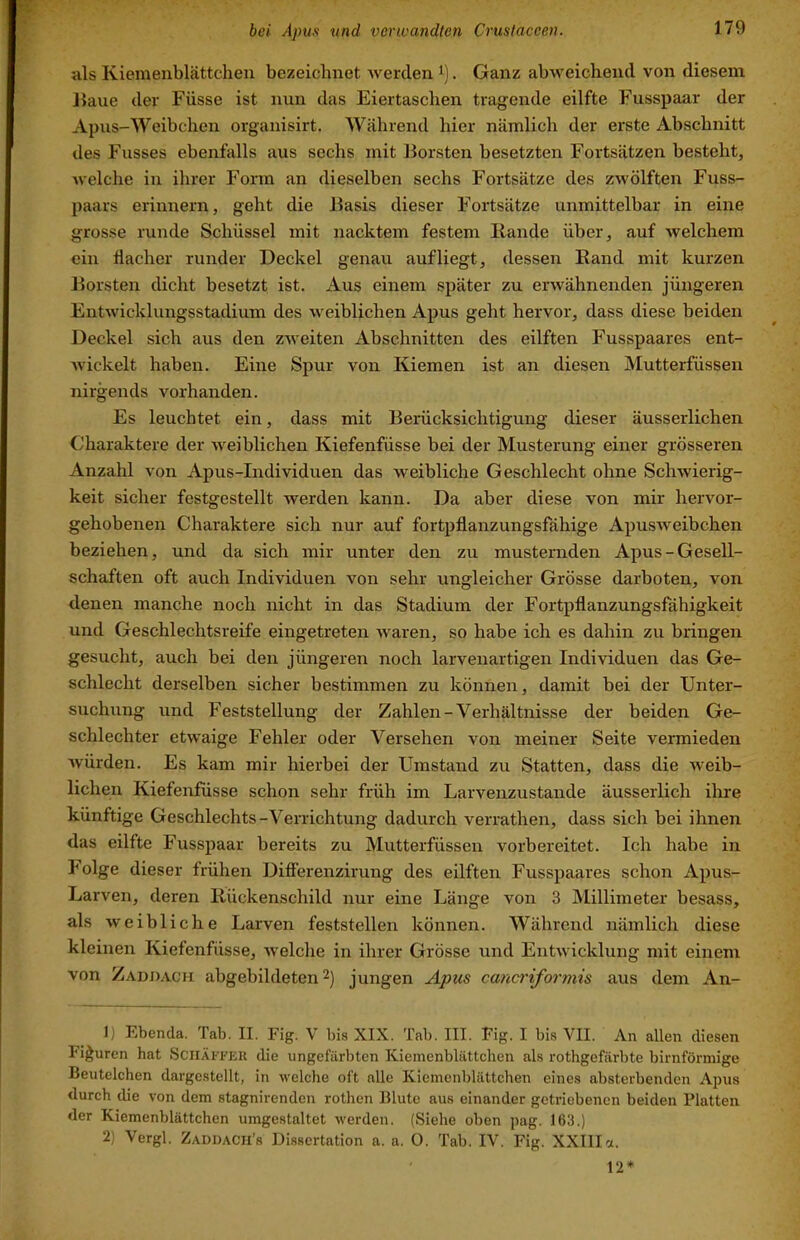 als Kiemenblättchen bezeichnet Averden i). Ganz abweichend von diesem Kaue der Füsse ist nun das Eiertascheii tragende eilfte Fusspaar der Apus-Weibchen organisirt. Während hier nämlich der erste Abschnitt des Fusses ebenfalls aus sechs mit Borsten besetzten Fortsätzen besteht, Avelche in ihrer Form an dieselben sechs Fortsätze des zAvölften Fuss- paars erinnern, geht die Basis dieser Fortsätze unmittelbar in eine grosse runde Schüssel mit nacktem festem Rande über, auf welchem ein flacher runder Deckel genau auf liegt, dessen Rand mit kurzen Borsten dicht besetzt ist. Aus einem später zu erwähnenden jüngeren Entwicklungsstadium des weiblichen Apus geht hervor, dass diese beiden Deckel sich aus den ZAveiten Abschnitten des eilften Fusspaares ent- Avickelt haben. Eine Spur von Kiemen ist an diesen Mutterfüssen nirgends vorhanden. Es leuchtet ein, dass mit Berücksichtigung dieser äusserlichen Charaktere der Aveiblichen Kiefenfüsse bei der Musterung einer grösseren Anzahl von Apus-Individuen das aveibliche Geschlecht ohne SchAvierig- keit sicher festgestellt werden kann. Da aber diese von mir hervor- gehobenen Charaktere sich nur auf fortpflanzungsfähige ApusAveibchen beziehen, und da sich mir unter den zu musternden Apus-Gesell- schaften oft auch Individuen von sehr ungleicher Grösse darboten, von denen manche noch nicht in das Stadium der Fortpflanzungsfähigkeit und Geschlechtsreife eingetreten Avaren, so habe ich es dahin zu bringen gesucht, auch bei den jüngeren noch larvenartigen Individuen das Ge- schlecht derselben sicher bestimmen zu können, damit bei der Unter- suchung und Feststellung der Zahlen-Verhältnisse der beiden Ge- schlechter etAvaige Fehler oder Versehen von meiner Seite vermieden Avürden. Es kam mir hierbei der Umstand zu Statten, dass die Aveib- lichen Kiefenfüsse schon sehr früh im Larvenzustande äusserlich ilire künftige Geschlechts-Venichtung dadurch verrathen, dass sich bei ihnen das eilfte Fusspaar bereits zu Mutterfüssen vorbereitet. Ich habe in F'olge dieser frühen Ditferenzirung des eilften Fusspaares schon Apus- Larven, deren Rückenschild nur eine Länge von 3 Millimeter besass, als AV ei bliche Larven feststellen können. Während nämlich diese kleinen Kiefenfüsse, Avelche in ihrer Grösse und EntAvicklung mit einem von Zaddach abgebildeten 2) jungen Apus cana'iformis aus dem An- 1) Ebenda. Tab. II. Fig. V bis XIX. Tab. III. Fig. I bis VII. An alleii diesen Figuren hat Sciiäffek die ungefärbten Kiemenblättchen als rothgefärbte bimförmige Beutelchen dargestellt, in Avelche oft alle Kiemenblättchen eines absterbenden Apus durch die \-on dem stagnirenden rothen Blute aus einander getriebenen beiden Platten der Kiemenblättchen umgestaltet Averden. (Siehe oben pag. 163.) 2) Vergl. Zaddach’s Dissertation a. a. 0. Tab. IV. Fig. XXIIIa. 12*