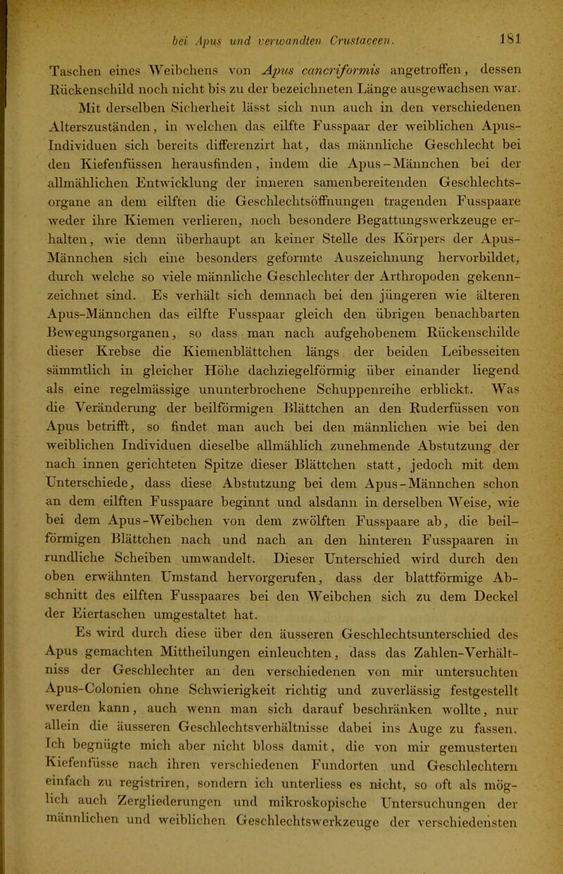 Taschen eines Weibchens von A^ms cancriformis angetroffen, dessen Ilückenschild noch nicht bis zu der bezeichneten Länge ausgewachsen war. Mit derselben Sicherheit lässt sich nun auch in den verschiedenen Alterszuständen, in welchen das eilfte Fusspaar der weiblichen Apus- Individuen sich bereits differenzirt hat, das männliche Geschlecht bei den Kiefenfüssen herausfinden, indem die Apus-Männchen bei der allmählichen Entwicklung der inneren samenbereitenden Geschlechts- organe an dem eilften die Geschlechtsöffnungen tragenden Fusspaare weder ihre Kiemen verlieren, noch besondere Begattungswerkzeuge er- halten, wie denn überhaupt an keiner Stelle des Körpers der Apus- IVIännchen sich eine besonders geformte Auszeichnung hervorbildet, durch welche so viele männliche Geschlechter der Arthropoden gekenn- zeichnet sind. Es verhält sich demnach bei den jüngeren wie älteren Apus-Männchen das eilfte Fusspaar gleich den übrigen benachbarten Bewegungsorganen, so dass man nach aufgehobenem Rückenschilde dieser Krebse die Kiemenblättchen längs der beiden Leibesseiten sämmtlich in gleicher Höhe dachziegelförmig über einander liegend als eine regelmässige ununterbrochene Schuppenreihe erblickt. Was die Veränderung der beilförmigen Blättchen an den Rudeifüssen von Apus betrifft, so findet man auch bei den männlichen wie bei den weiblichen Individuen dieselbe allmählich zunehmende Abstutzung der nach innen gerichteten Spitze dieser Blättchen statt, jedoch mit dem Unterschiede, dass diese Abstutzung bei dem Apus-Männchen schon an dem eilften Fusspaare beginnt und alsdann in derselben Weise, wie bei dem Apus-Weibchen von dem zwölften Fusspaare ab, die beil- förmigen Blättchen nach und nach an den hinteren Fusspaaren in rundliche Scheiben umwandelt. Dieser Unterschied wird durch den oben erwähnten Umstand hervorgerufen, dass der blattförmige Ab- schnitt des eilften Fusspaares bei den Weibchen sich zu dem Deckel der Eiertaschen umgestaltet hat. Es wird durch diese über den äusseren Geschlechtsunterschied des Apus gemachten Mittheilungen einleuchten, dass das Zahlen-Verhält- niss der Geschlechter an den verschiedenen von mir untersuchten Apus-Colonien ohne Schwierigkeit richtig und zuverlässig festgestellt werden kann, auch wenn man sich darauf beschränken wollte, nur allein die äusseren Geschlechtsverhältnisse dabei ins Auge zu fassen. Ich begnügte mich aber nicht bloss damit, die von mir gemusterten Kiefcnfüsse nach ihren verschiedenen Fundorten und Geschlechtern einfach zu registriren, sondern ich unterliess es nicht, so oft als mög- lich auch Zergliederungen und mikroskopische Untersuchungen der männlichen und weiblichen Geschlechtswcrkzeuge der verschiedensten