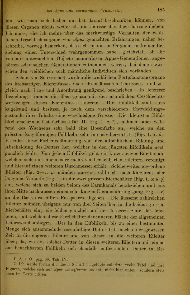 bin, wie man sich bisher nur hat darauf beschränken können, von diesen Organen nichts weiter als die Umrisse derselben hervorzuheben. Ich muss, ehe ich meine über das merkwürdige Verhalten der weib- lichen Geschlechtsorgane von Apus gemachten Erfahrungen näher be- schreibe, vorweg bemerken, dass ich in diesen Organen in keiner Be- ziehung einen Unterschied wahrgenommen habe, gleichviel, ob die von mir untersuchten Objecte männerlosen Apus - Generationen ange- hörten oder solchen Generationen entnommen waren, bei denen zwi- schen den weiblichen auch männliche Individuen sich vorfanden. Schon von SchäM'ER^) Avurden die aveiblichen Fortpflanzungsorgane des krebsartigen Kiefenfusses nach ihren äusseren Umrissen, und zu- gleich nach Lage und Anordnung genügend beschrieben. In letzterer Beziehung stimmen dieselben genau mit den männlichen Geschlechts- Averkzeugen dieses Kiefenfusses überein. Die Eifollikel sind stets kugelrund und besitzen je nach dem verschiedenen Entwicklungs- zustande ihres Inhalts eine verschiedene Grösse. Die kleinsten Eifol- likel erscheinen fast farblos (Taf. II. Fig. l. d)^), nehmen aber Aväh- rend des Wachsens sehr bald eine Rosenfarbe an, AA^elche an den grössten kugelfönnigen Follikeln sehr intensiv hervortritt (Fig. l. f. h). Es rührt diese Farbenveränderung von der allmählichen Bildung und Abscheidung des Dotters her, aa elcher in den jüngsten Eifollikeln noch gänzlich fehlt. Von jedem Eifollikel geht ein kurzer enger Eileiter ab, AV eich er sich mit einem oder mehreren benachbarten Eileitern vereinigt und hierauf einen Aveiteren Durchmesser erhält. Solche Aveiter geAvordene Eileiter (Fig. 2—7. p) münden äusserst zahlreich nach kürzerem oder längerem Verlaufe (Fig. 1) in die ZAvei grossen Eierbehälter (Fig. 1. & 6. ein, Avelche sich zu beiden Seiten des Darmkanals herabziehen und aus ihrer Mitte nach aussen einen sehr kurzen Eierausführungsgang (Fig. l.r) an die Basis des eilften Fusspaares abgeben. Die äusserst zahlreichen Eileiter münden übrigens nur von drei Seiten her in die beiden grossen Eierbehälter ein, sie fehlen gänzlich auf der äusseren Seite der letz- teren, mit AVelcher diese Eierbehälter der inneren Fläche der allgemeinen LeibesAvand anliegen. Der in den Eifollikeln bis zu einer bestimmten Menge sich ansammelnde rosenfarbige Dotter tritt nach einer geAvissen Zeit in die engeren Eileiter und von diesen in die Aveiteren Eileiter über; da, avo ein solcher Dotter in diesen Aveiteren Eileitern mit einem aus benachbarten Follikeln sich ebenfalls entleerenden Dotter in Be- ll A. a. 0. pag. 80. Tab. IV. 2) Ich werde fortan die dieser Sehrift beigefügte colorirte zweite Tafel und ihre Figiuren, welehe sich auf Apus cancriformis bezieht, nicht hier unten, sondern stets oben im Texte citiren.