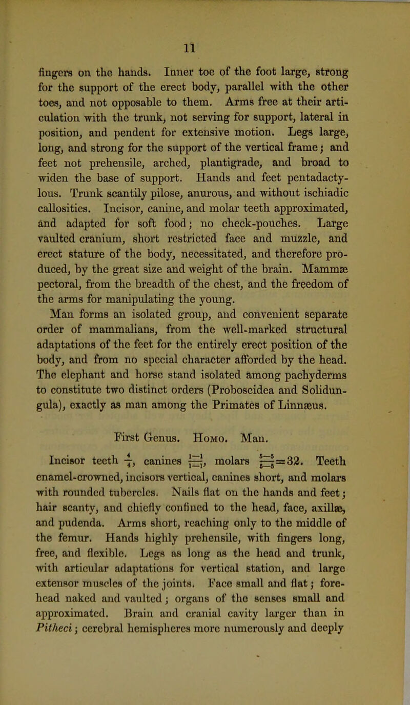fingers on the hands. Inner toe of the foot large, strong for the support of the erect body, parallel with the other toes, and not opposable to them. Arms free at their arti- culation with the trunk, not serving for support, lateral in position, and pendent for extensive motion. Legs large, long, and strong for the support of the vertical frame j and feet not prehensile, arched, plantigrade, and broad to widen the base of support. Hands and feet pentadacty- lous. Trunk scantily pilose, anurous, and without ischiadic callosities. Incisor, canine, and molar teeth approximated, and adapted for soft food; no check-pouches. Large vaulted cranium, short restricted face and muzzle, and erect stature of the body, necessitated, and therefore pro- duced, by the great size and weight of the brain. Mammae pectoral, from the breadth of the chest, and the freedom of the arms for manipulating the young. Man forms an isolated group, and convenient separate order of mammalians, from the well-marked structural adaptations of the feet for the entirely erect position of the body, and from no special character afforded by the head. The elephant and horse stand isolated among pachyderms to constitute two distinct orders (Proboscidea and Solidun- gula), exactly as man among the Primates of Linnaeus. First Genus. Homo. Man. Incisor teeth -7, canines j^, molars j^=33. Teeth enamel-crowned, incisors vertical, canines short, and molars with rounded tubercles. Nails flat on the hands and feet; hair scanty, and chiefly confined to the head, face, axillae, and pudenda. Arms short, reaching only to the middle of the femur. Hands highly prehensile, with fingers long, free, and flexible. Legs as long as the head and trunk, with articular adaptations for vertical station, and large extensor muscles of the joints. Pace small and flat j fore- head naked and vaulted; organs of the senses small and approximated. Brain and cranial cavity larger than in Pithed; cerebral hemispheres more numerously and deeply