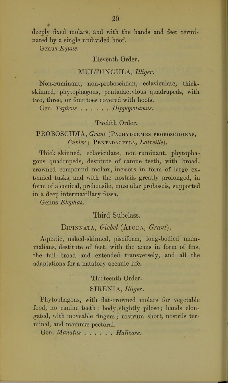 * deeply iixed molarSj and with the hands and feet termi- nated by a single undivided hoof. Genus Equus. Eleventh Order. MULTUNGULA, Illiger. Non-ruminantj non-proboscidian^ eclaviculatej thick- skinned, phytophagouSj pentadactylous quadrupeds, with two, thi'ee, or four toes covered with hoofs. Gen. Tapirus Hippopotamus. Twelfth Order. PROBOSCIDIA, Grant (Pachydeumes proboscidiens, Cuvier • Pentadactyla, Latreille). Thick-skinned, ecla^aculate, non-ruminant, phytopha- gous quadi'upeds, destitute of canine teeth, with broad- crowned compound molars, incisors in form of large ex- tended tusks, and with the nostrils greatly prolonged, in form of a conical, prehensile, muscular proboscis, supported in a deep intermaxillary fossa. Genus Elephas. Third Subclass. BiPiNNATA, Giedel {AvoBA, Grant). Aquatic, naked-skinned, pisciform, long-bodied mam- malians, destitute of feet, with the arms in form of fins, the tail broad and extended transversely, and all the adaptations for a natatory oceanic life. Thirteenth Order. SIRENIA, linger. Phytophagous, with flat-crowned molars for vegetable food, no canine teeth; body,slightly pilose; hands elon- gated, with moveable fingers; rostrum short, nostrils ter- minal, and mammje pectoral. Gen. Manatus HaHcore.