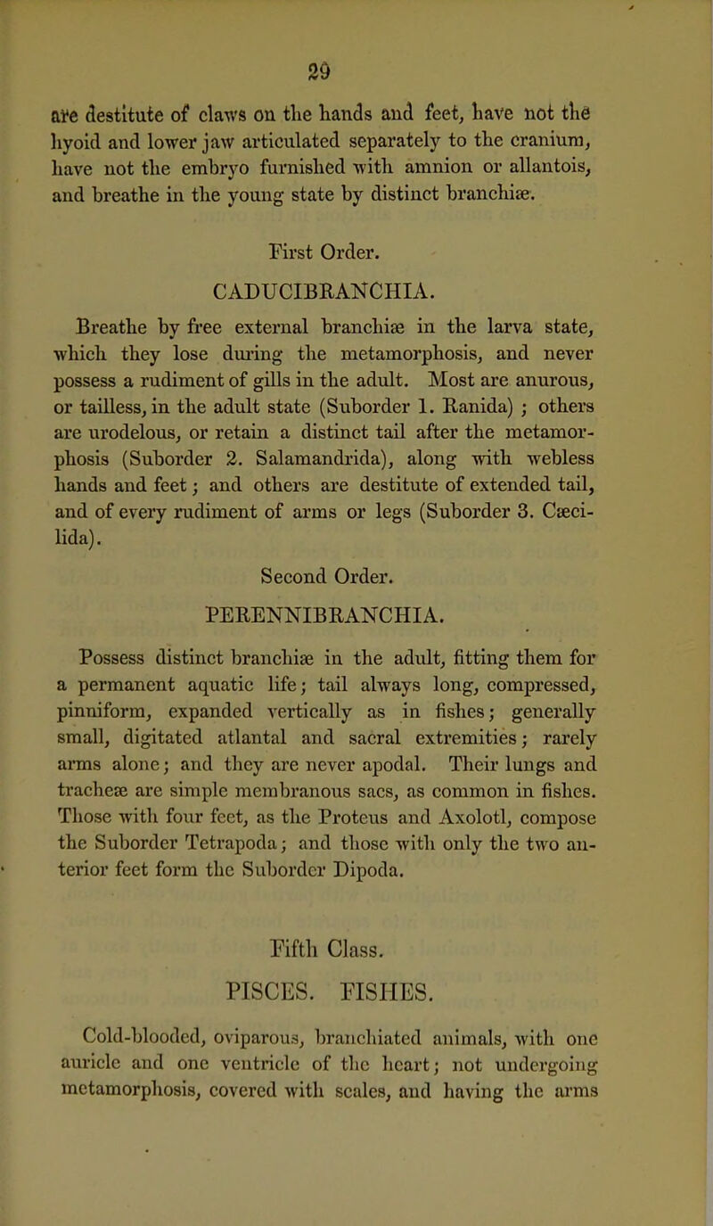 2d afe destitute of claws on tlie hands and feet, tave not the hyoid and lower jaw articulated separately to the cranium, have not the embryo furnished with amnion or allantois, and breathe in the young state by distinct branchiae. First Order. CADUCIBRANCHIA. Breathe by free external branchiae in the larva state, which they lose dui'ing the metamorphosis, and never possess a rudiment of gills in the adult. Most are anurous, or tailless, in the adult state (Suborder 1. Ranida) ; others are urodelous, or retain a distinct tail after the metamor- phosis (Suborder 2. Salamandrida), along with webless hands and feet; and others are destitute of extended tail, and of every rudiment of arms or legs (Suborder 3. Cseci- lida). Second Order. PERENNIBRANCHIA. Possess distinct branchiae in the adult, fitting them for a permanent aquatic life; tail always long, compressed, pinniform, expanded vertically as in fishes; generally small, digitated atlantal and sacral extremities; rarely arms alone; and they are never apodal. Their lungs and tracheae are simple membranous sacs, as common in fishes. Those with four feet, as the Proteus and Axolotl, compose the Suborder Tetrapoda; and those with only the two an- terior feet form the Suborder Dipoda. Fifth Class. PISCES. FISHES. Cold-blooded, oviparous, branchiated animals, with one auricle and one ventricle of the heart; not undergoing metamorphosis, covered Avith scales, and having the arms