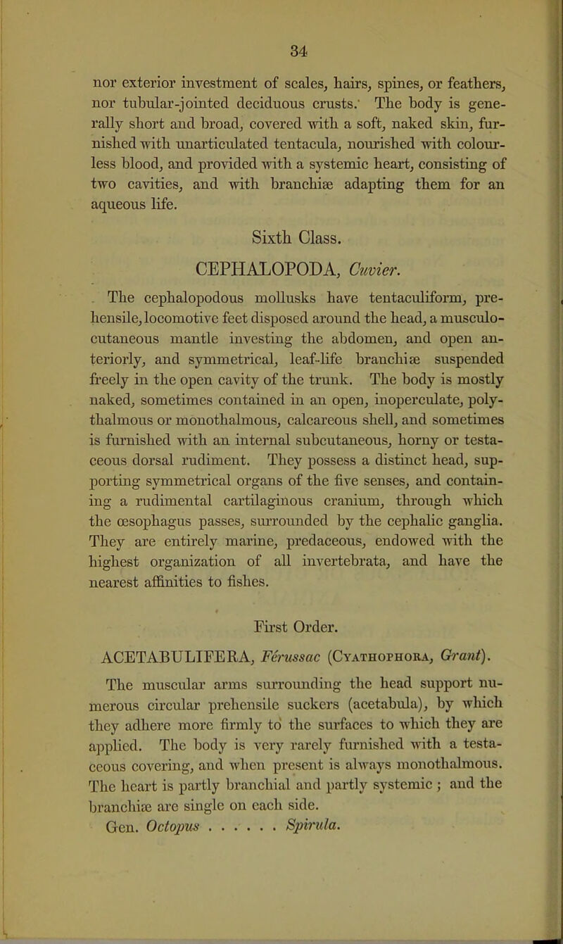 nor exterior investment of scales, hairs, spines, or feathers, nor tubular-jointed deciduous crusts.' The body is gene- rally short and broad, covered with a soft, naked skin, fur- nished -with tinarticulated tentacula, nourished with colour- less blood, and provided -with a systemic heart, consisting of two cavities, and with branchiae adapting them for an aqueous life. Sixth Class. CEPHALOPODA, Mer. . The cephalopodous mollusks have teutaculifonn, pre- hensile, locomotive feet disposed around the head, a musculo- cutaneous mantle investing the abdomen, and open an- teriorly, and symmetrical, leaf-life branchiae suspended freely in the open cavity of the trunk. The body is mostly naked, sometimes contained in an open, inoperculate, poly- thalmous or monothalmous, calcareous shell, and sometimes is furnished with an internal subcutaneous, horny or testa- ceous dorsal rudiment. They possess a distinct head, sup- porting symmetrical organs of the five senses, and contain- ing a rudimental cartilaginous cranium, through which the oesophagus passes, sm-rounded by the cephalic ganglia. They are entirely marine, predaceous, endowed with the highest organization of all invertebrata, and have the nearest afl&nities to fishes. First Order. ACETABULIFERA, Ferussac (Cyathophora, Ch-ant). The muscular arms surrounding the head support nu- merous circular prehensile suckers (acetabula), by which they adhere more firmly to the surfaces to which they are applied. The body is very rarely furnished with a testa- ceous covering, and when present is ahvays monothalmous. The heart is partly branchial and partly systemic ; and the branchiae are single on each side. Gen. Octopus Spirula.