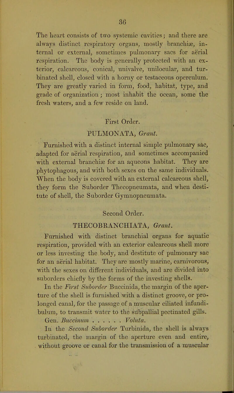 The heart consists of tvro systemic cavities; and there are always distinct respiratory organs, mostly bi'anchiae, in- ternal or external, sometimes pulmonary sacs for aerial respiration. The body is generally protected with an ex- terior, calcareous, conical, univalve, unilocular, and tur- binated shell, closed with a homy or testaceous operculum. They are greatly varied in form, food, habitat, type, and grade of organization; most inhabit the ocean, some the fresh waters, and a few reside on land. First Order. PULMONATA, Grant. Furnished with a distinct internal simple pulmonary sac, adapted for aerial respiration, and sometimes accompanied with external branchiae for an aqueous habitat. They are phytophagous, and with both sexes on the same individuals. When the body is covered with an external calcareous shell, they form the Suborder Thecopneumata, and when desti- tute of shell, the Suborder G-ymnopneumata. Second Order. THECOBRANCHIATA, Gi-ant. Furnished with distinct branchial organs for aquatic respiration, provided with an exterior calcareous shell more or less investing the body, and destitute of pulmonary sac for an aerial habitat. They are mostly marine, carnivorous, with the sexes on diflPerent individuals, and are divided into suborders chiefly by the forms of the investing shells. In the First Suborder Buccinida, the margin of the aper- ture of the shell is furnished with a distinct groove, or pro- longed canal, for the passage of a muscular ciliated infundi- bulum, to transmit Water to the siibpallial pectinated giUs. Gen. Buccimm Voluta. In the Second S^iborder Turbinida, the shell is always turbinated, the margin of the apertm-c even and entire, . without groove or canal for the transmission of a muscular